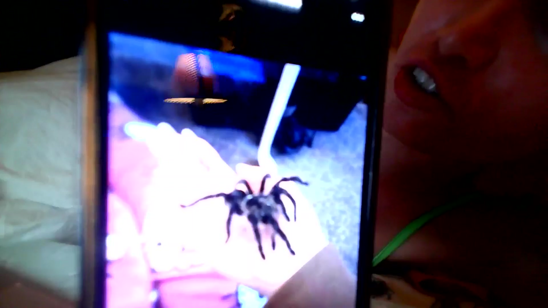 Gallery image thumbnail from BiancaXblack's myfreecams stream on, 10/24/2025, 08:57 image 13 of 20
