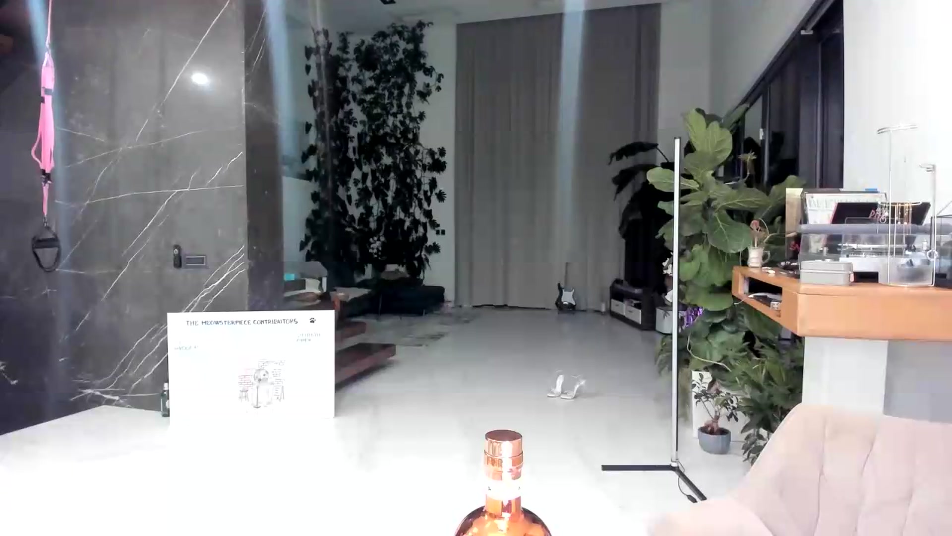 Gallery image thumbnail from BibiPurrsaLot's myfreecams stream on, 06/09/2026, 24:01 image 10 of 20