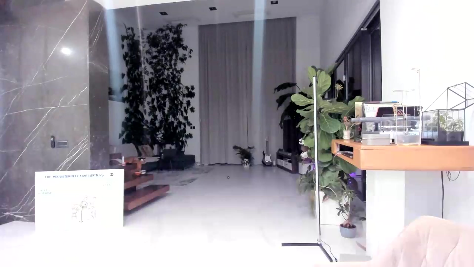 Gallery image thumbnail from BibiPurrsaLot's myfreecams stream on, 06/11/2026, 24:02 image 2 of 20