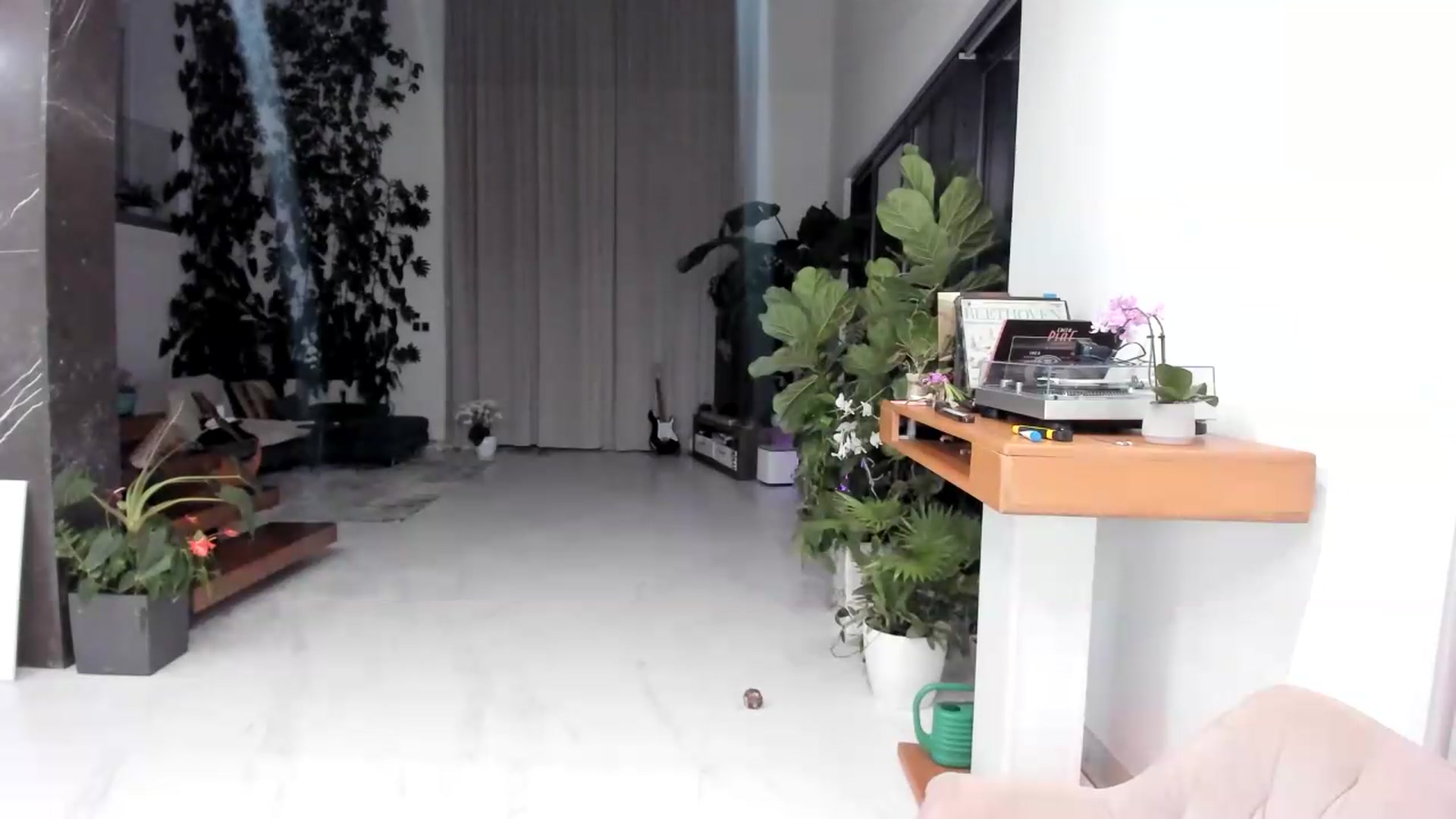 Gallery image thumbnail from BibiSapDealer's myfreecams stream on, 07/08/2026, 02:27 image 17 of 20