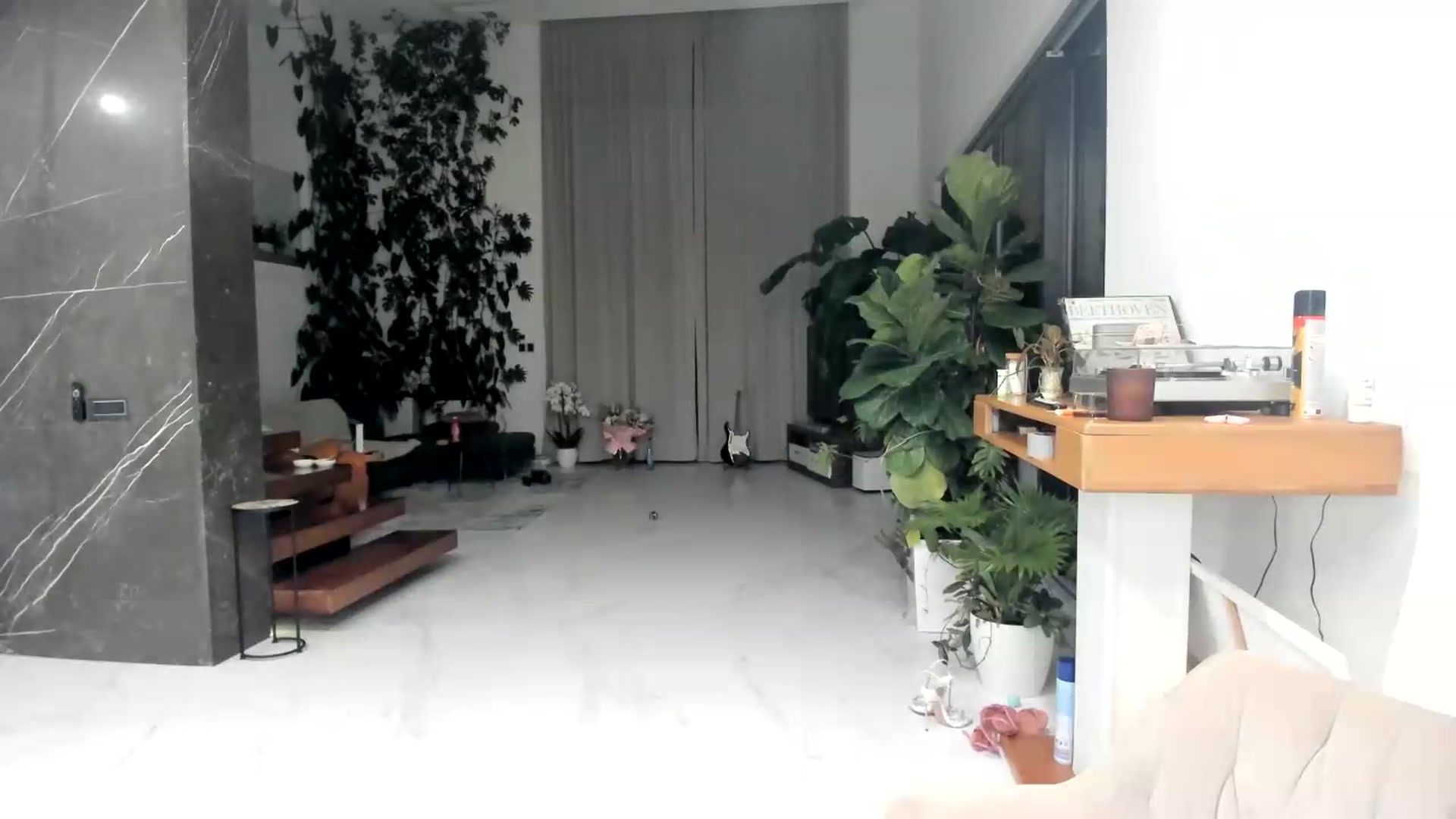 Gallery image thumbnail from BibiSapDealer's myfreecams stream on, 08/11/2026, 24:06 image 2 of 20