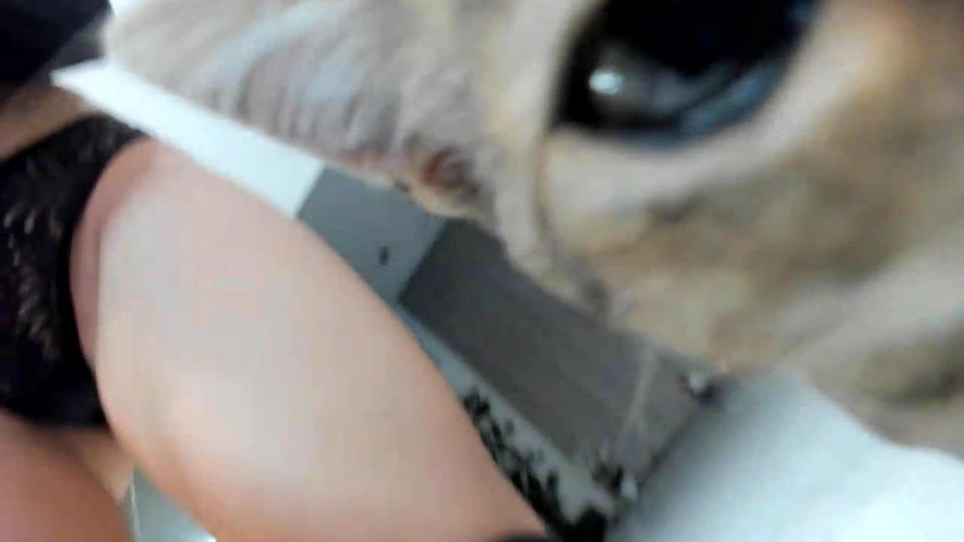 Gallery image thumbnail from BibiSapDealer's myfreecams stream on, 09/22/2026, 24:01 image 3 of 20