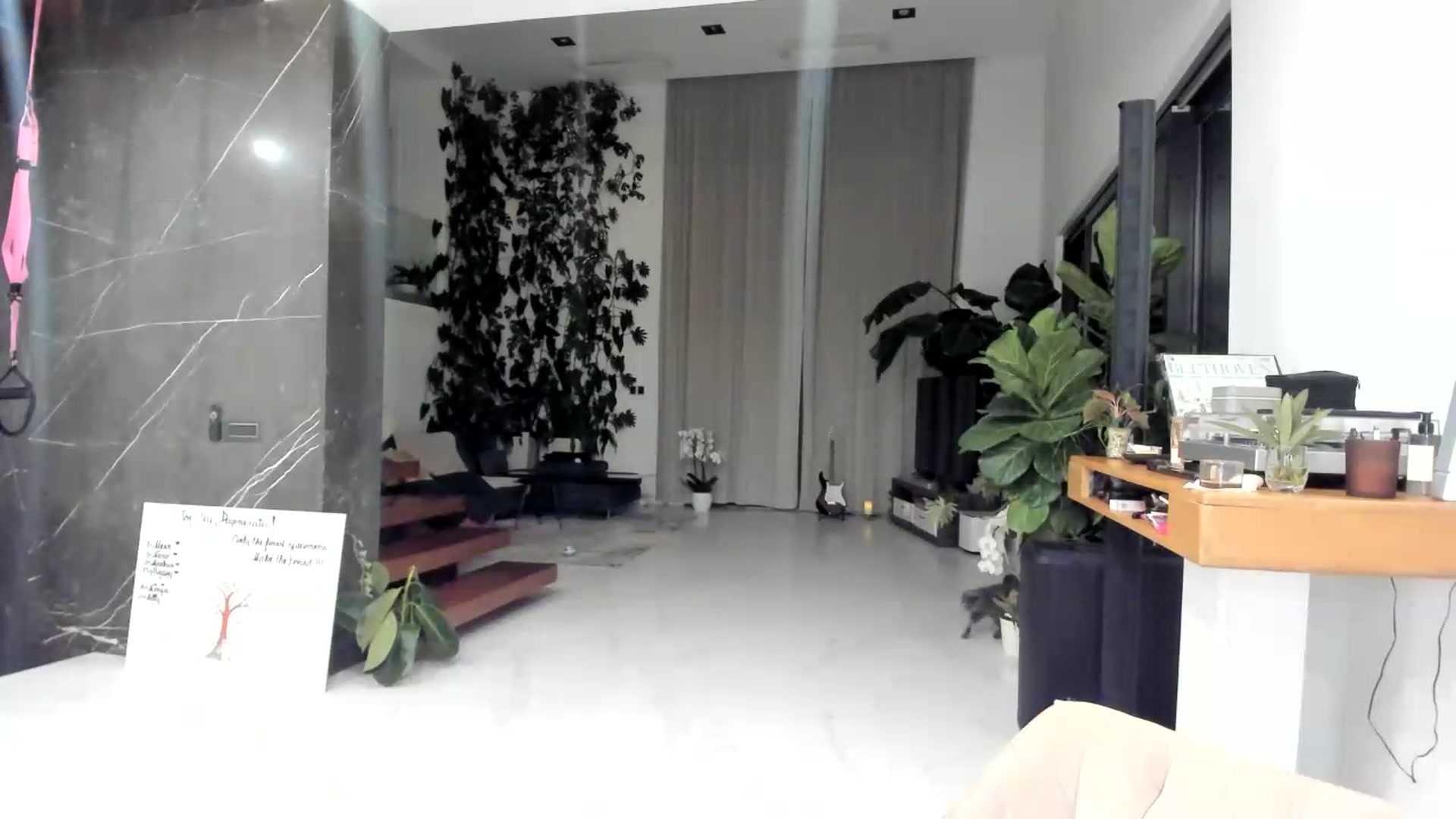 Gallery image thumbnail from BibiSapDealer's myfreecams stream on, 09/23/2026, 24:02 image 3 of 20