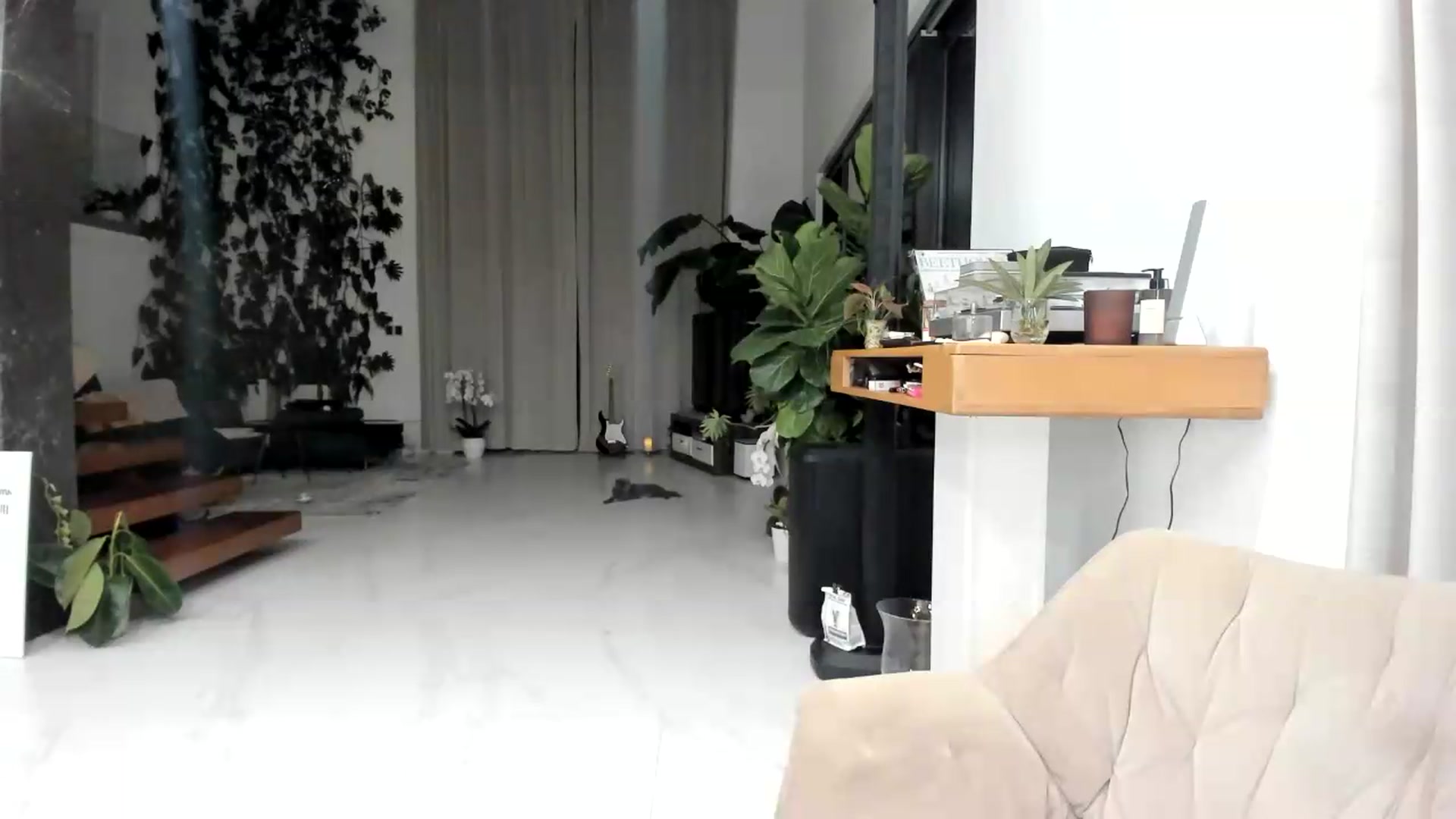 Gallery image thumbnail from BibiSapDealer's myfreecams stream on, 09/23/2026, 24:02 image 8 of 20