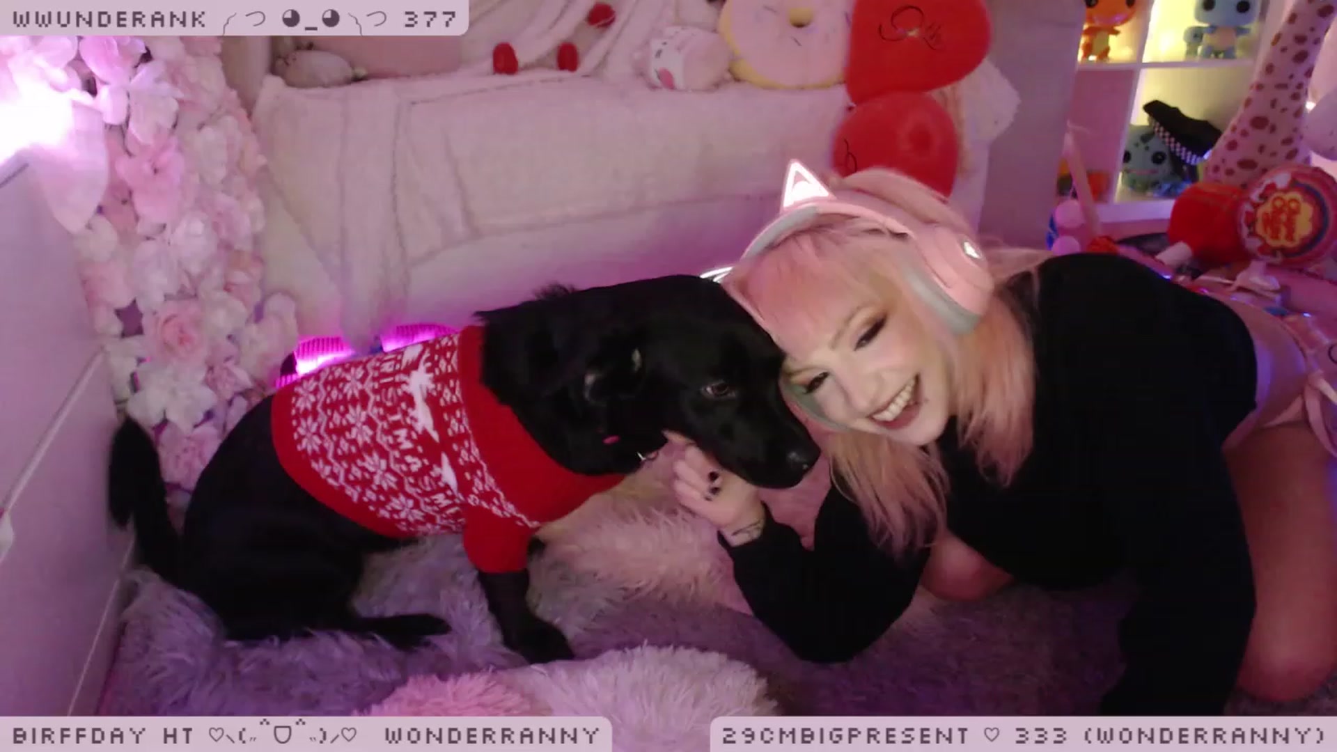 Gallery image thumbnail from BirffdayBish's myfreecams stream on, 12/08/2022, 23:42 image 9 of 20