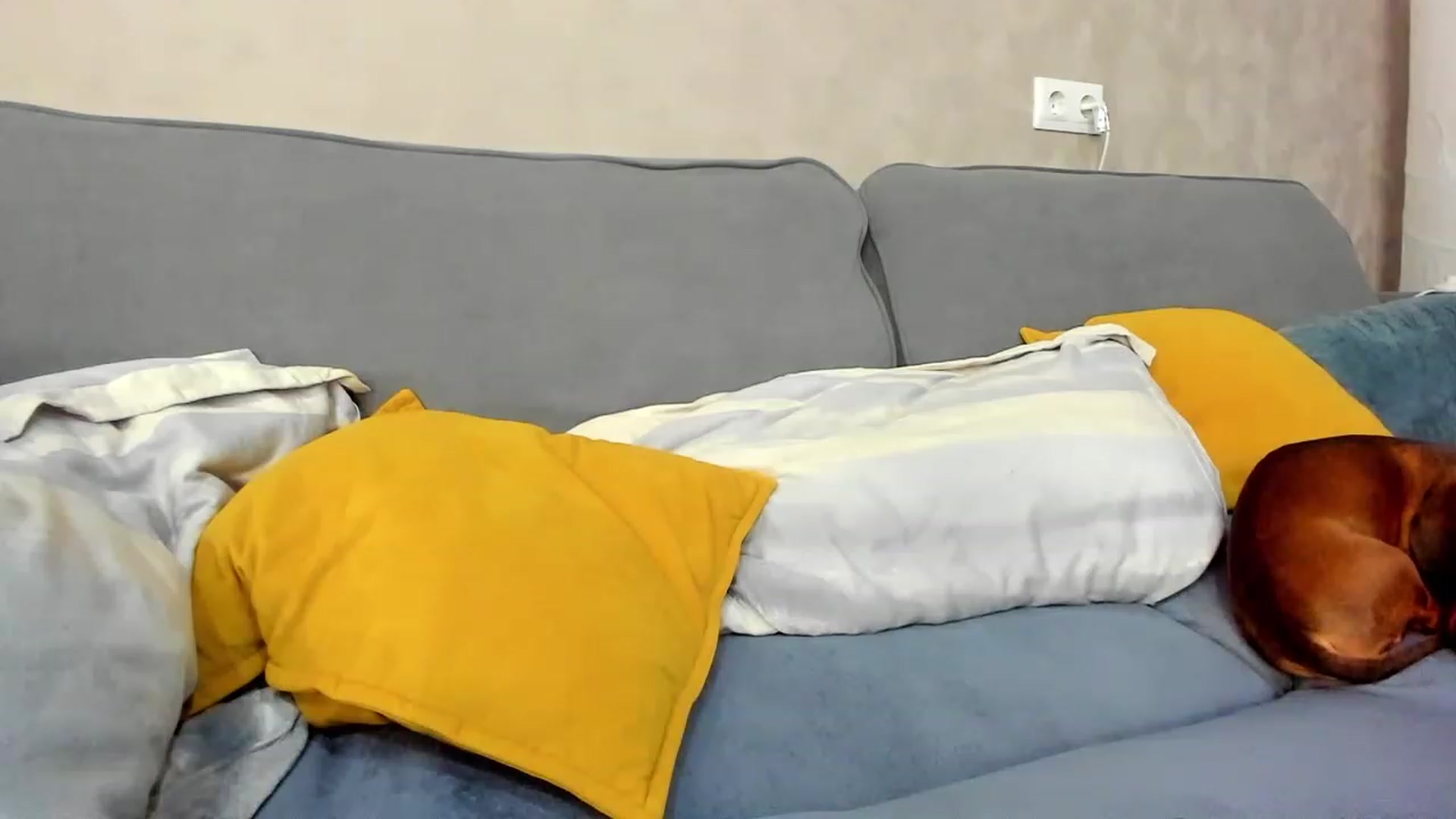 Gallery image thumbnail from BirthdaayAri's myfreecams stream on, 01/10/2024, 08:49 image 15 of 20