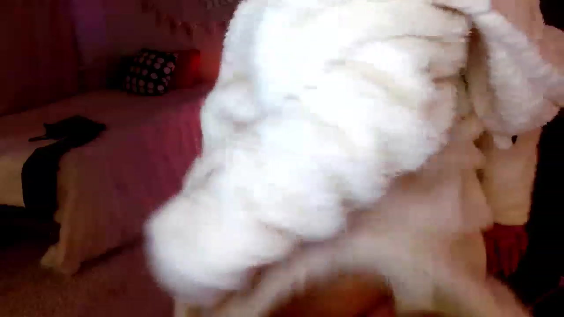 Gallery image thumbnail from BirthdayAlice's myfreecams stream on, 04/01/2023, 17:06 image 5 of 20
