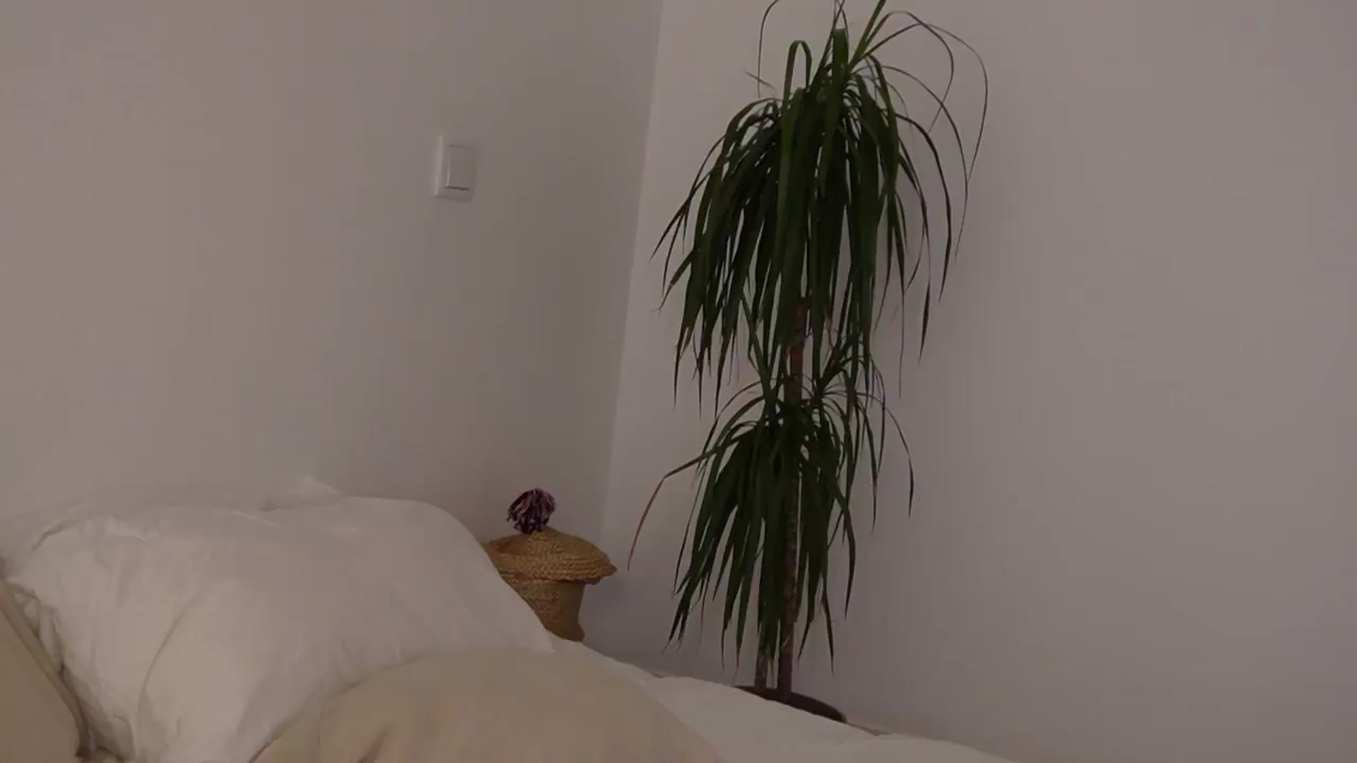 Gallery image thumbnail from BirthdayBlancOh's myfreecams stream on, 08/22/2026, 08:49 image 13 of 20
