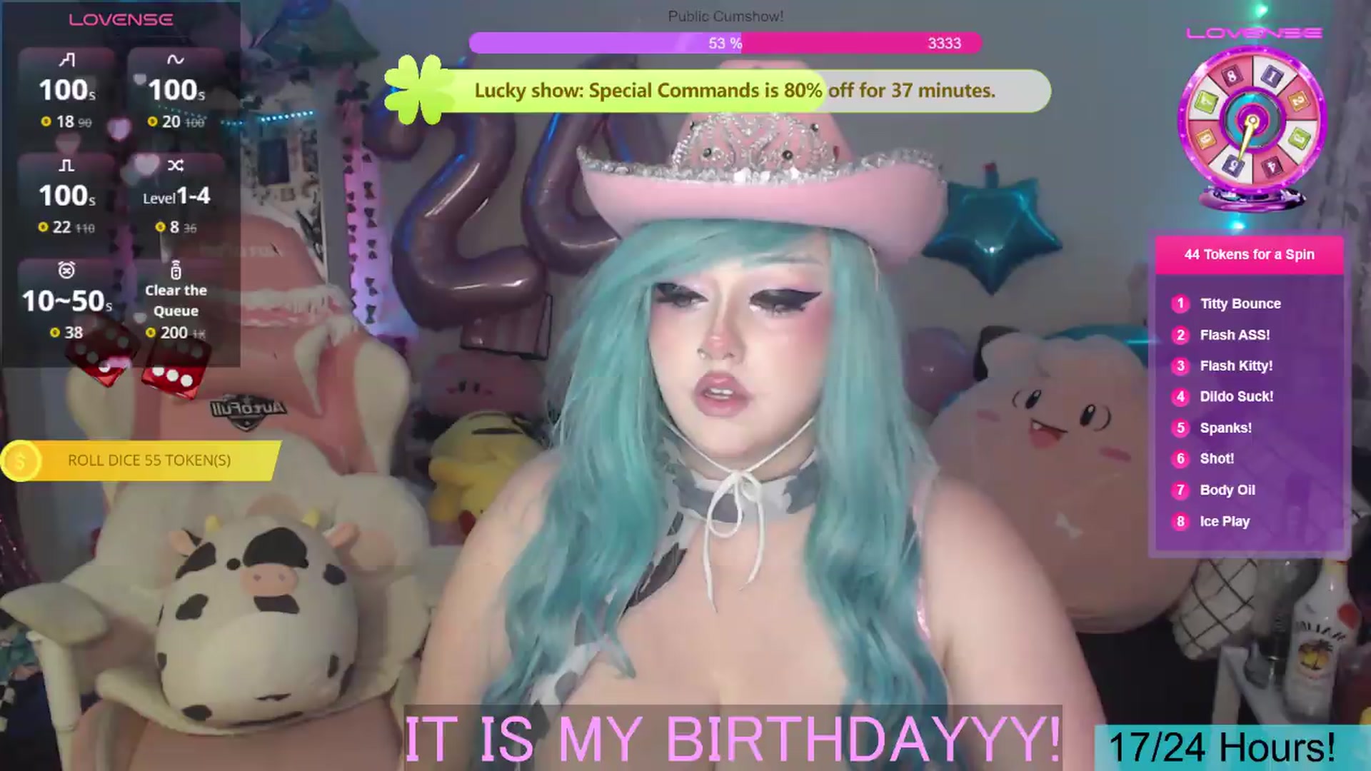Gallery image thumbnail from BirthdayBouncyyy's myfreecams stream on, 08/24/2026, 04:39 image 17 of 20