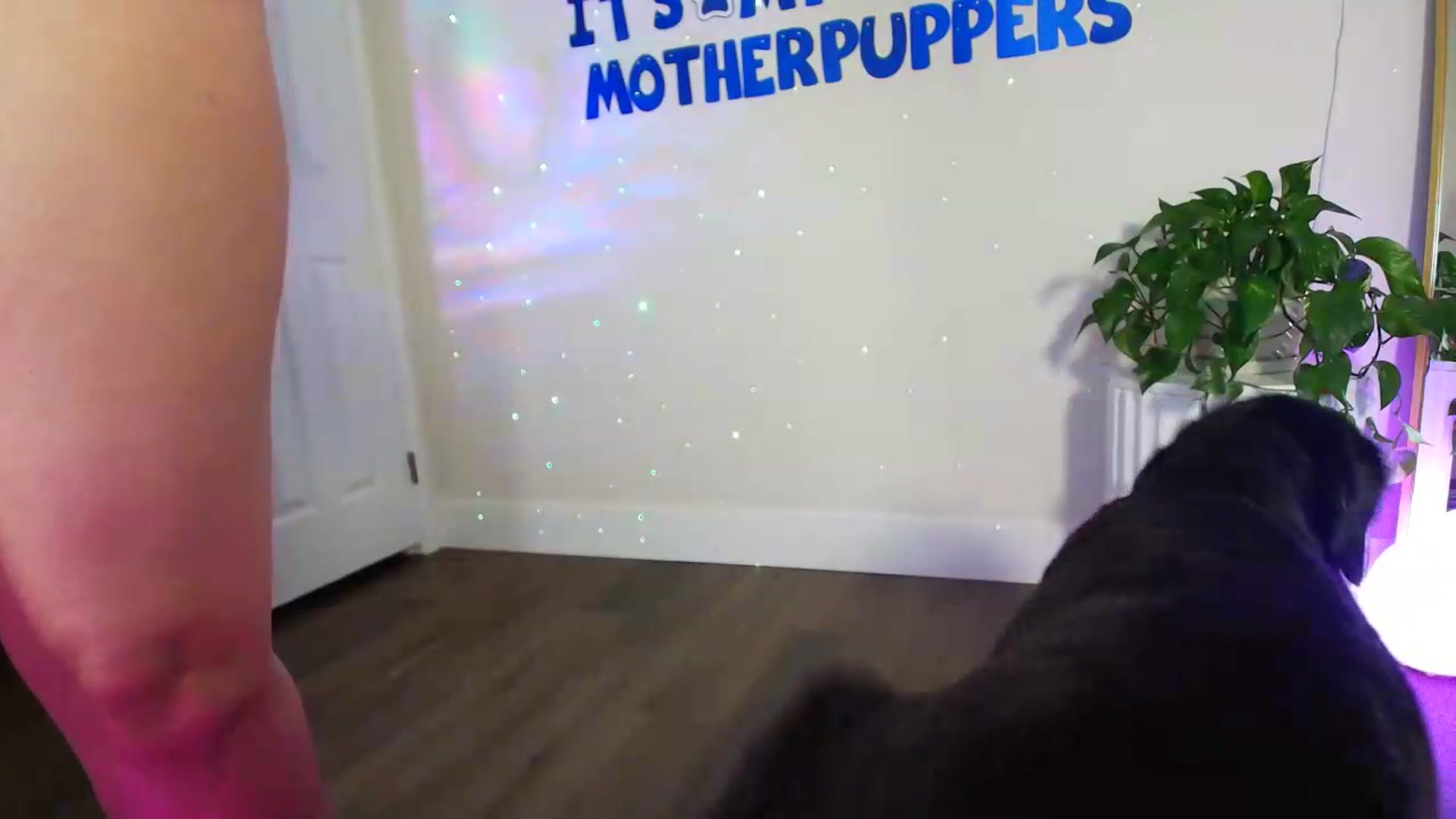Gallery image thumbnail from BirthdayBrittani's myfreecams stream on, 07/12/2026, 06:32 image 7 of 20
