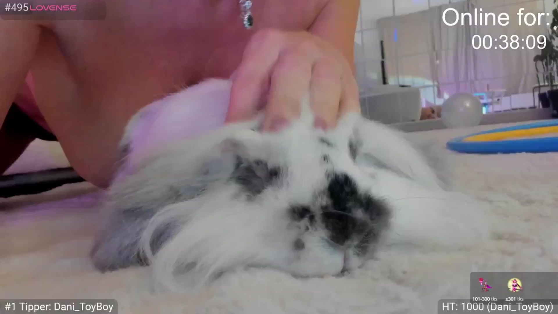 Gallery image thumbnail from BirthdayG1rl's myfreecams stream on, 10/15/2025, 21:50 image 14 of 20