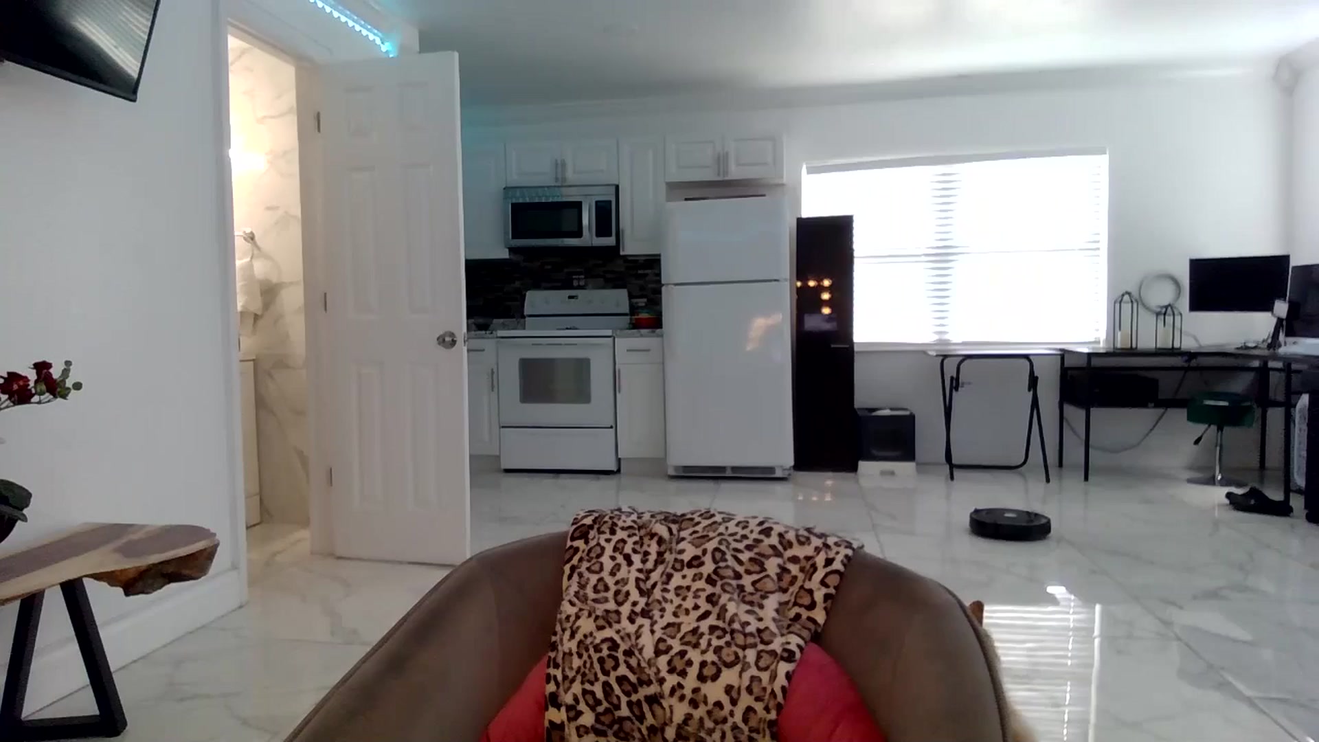 Gallery image thumbnail from BirthdayGirli's myfreecams stream on, 07/15/2024, 13:45 image 12 of 20