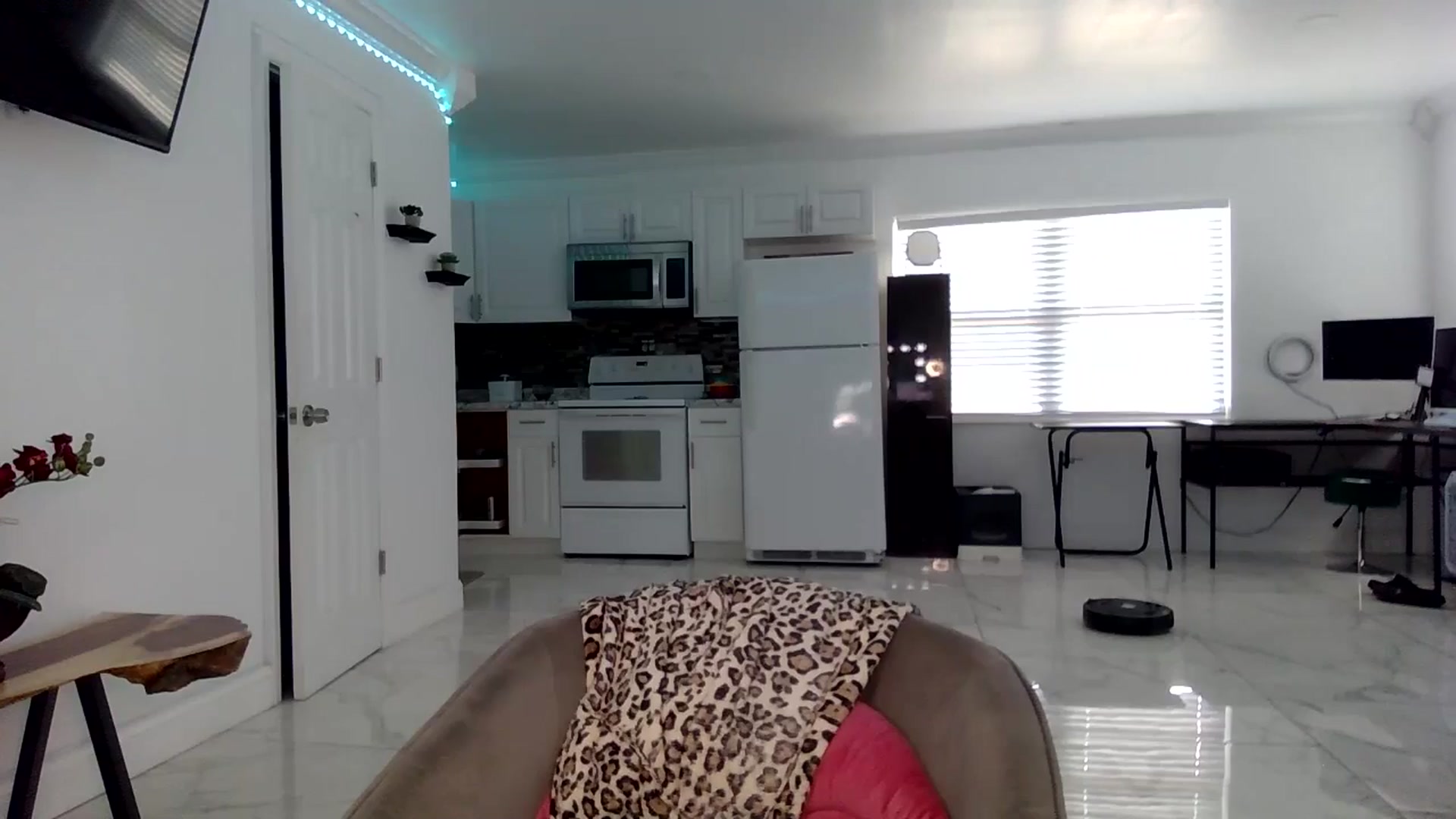 Gallery image thumbnail from BirthdayGirli's myfreecams stream on, 07/15/2024, 19:13 image 14 of 20