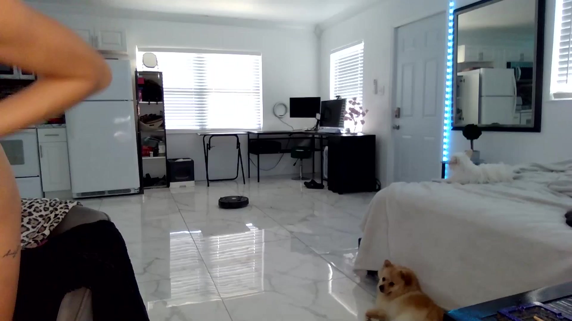 Gallery image thumbnail from BirthdayGirli's myfreecams stream on, 07/15/2024, 21:32 image 1 of 20