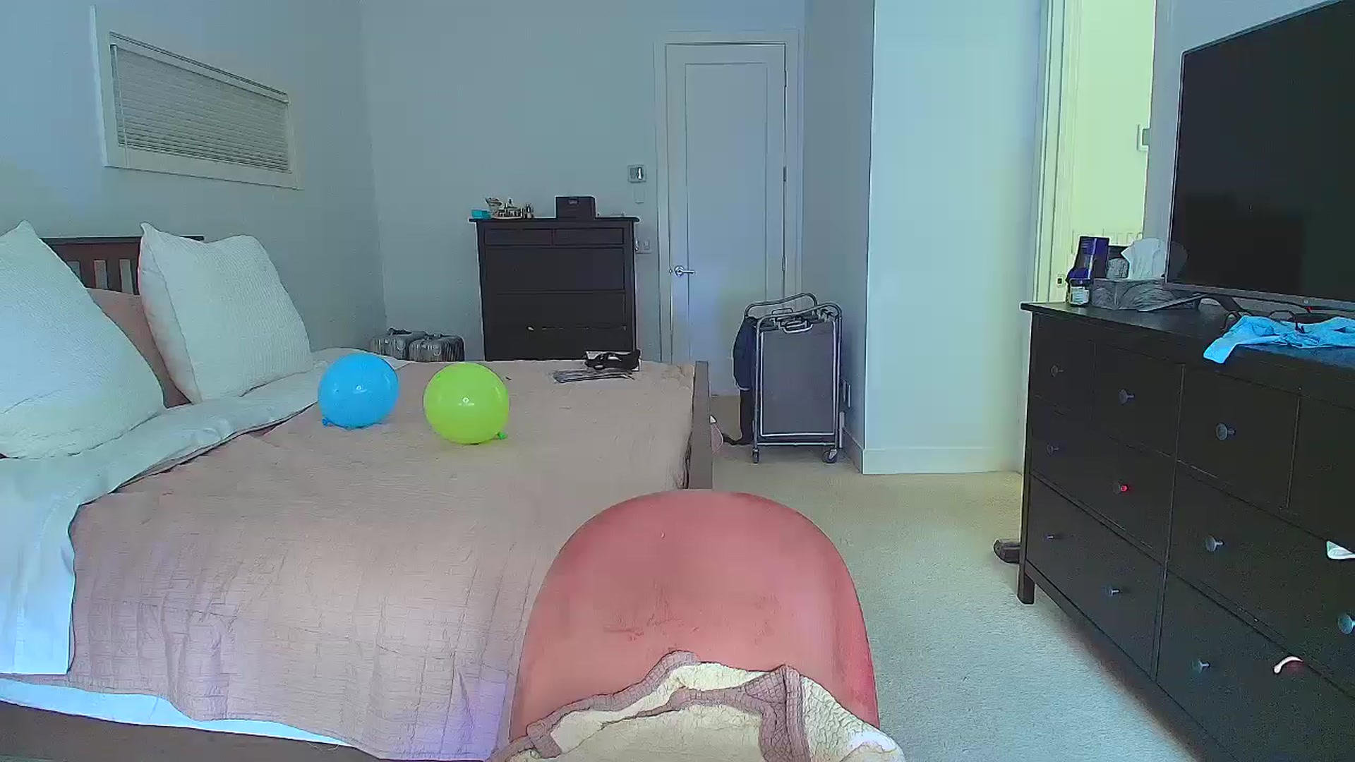Gallery image thumbnail from BirthdayKym's myfreecams stream on, 05/23/2024, 22:09 image 8 of 20