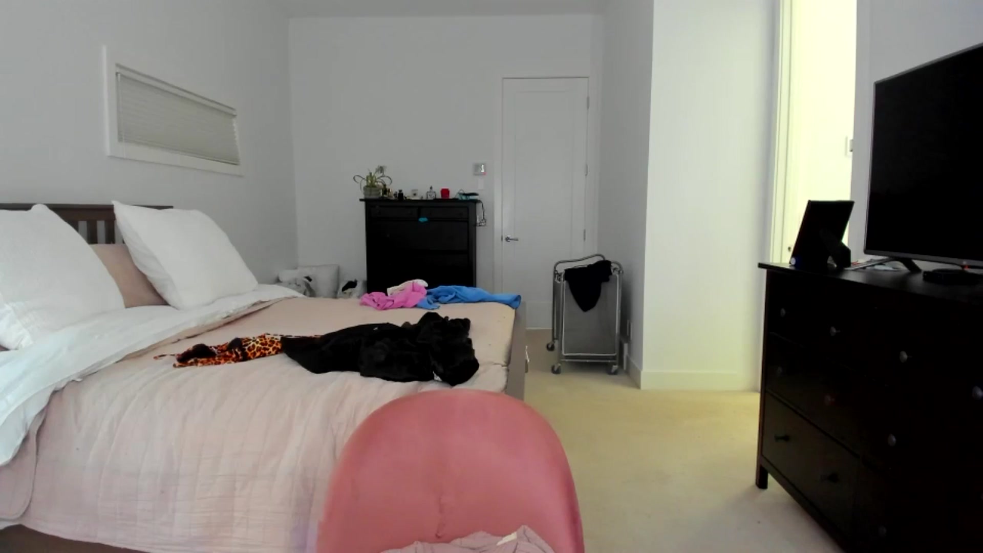 Gallery image thumbnail from BirthdayKym's myfreecams stream on, 05/29/2025, 22:12 image 9 of 20