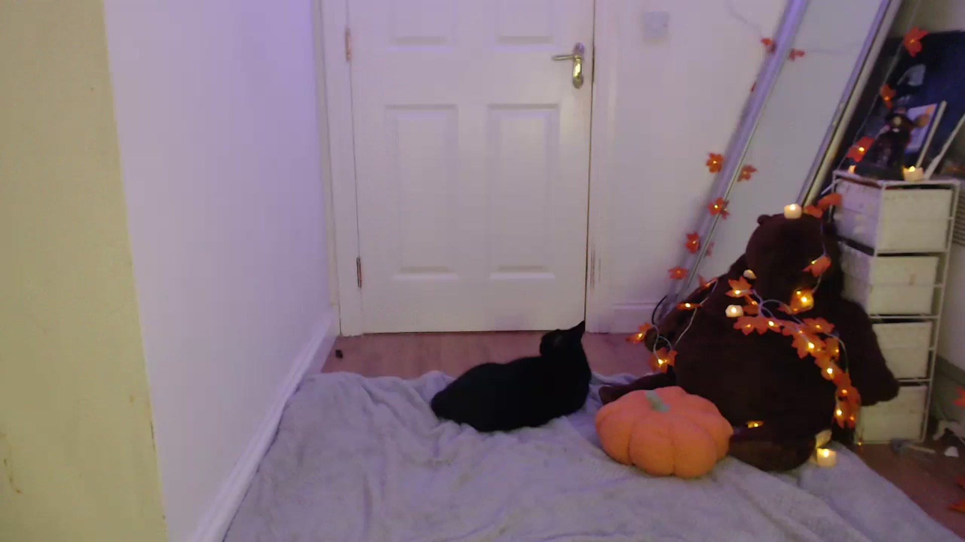 Gallery image thumbnail from BirthdayLex's myfreecams stream on, 11/12/2023, 22:56 image 17 of 20