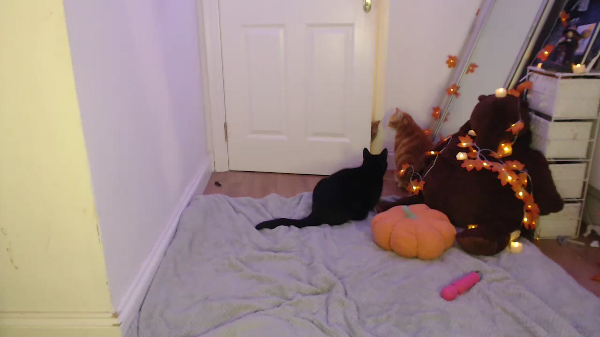 Gallery image thumbnail from BirthdayLex's myfreecams stream on, 11/12/2023, 22:56 image 19 of 20