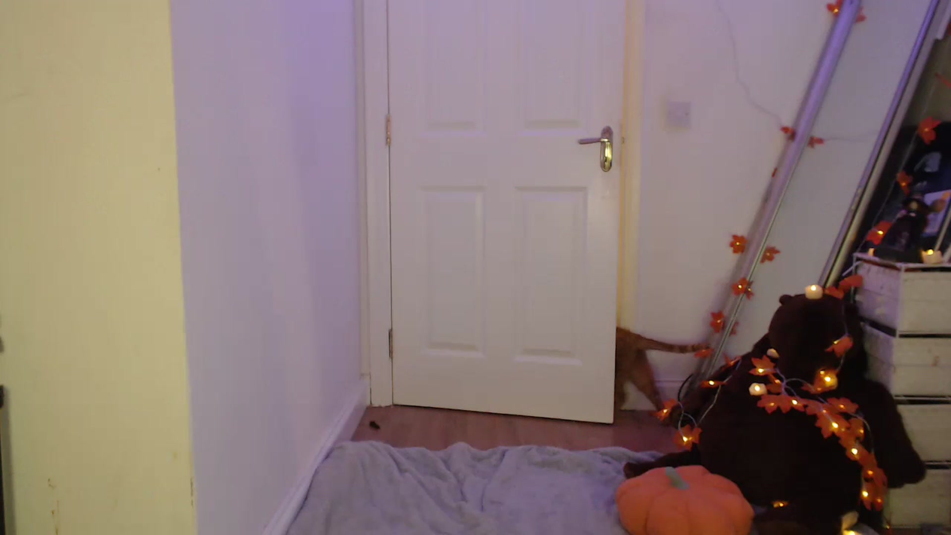 Gallery image thumbnail from BirthdayLex's myfreecams stream on, 11/13/2023, 24:02 image 11 of 20