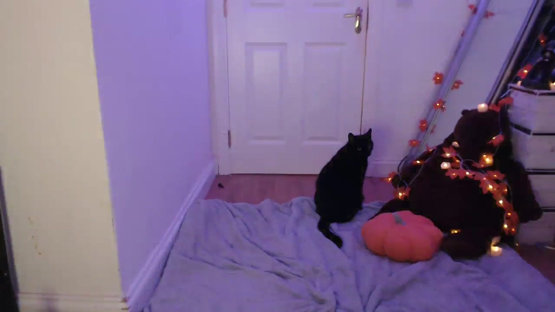 Gallery image thumbnail from BirthdayLex's myfreecams stream on, 11/13/2023, 01:16 image 14 of 20