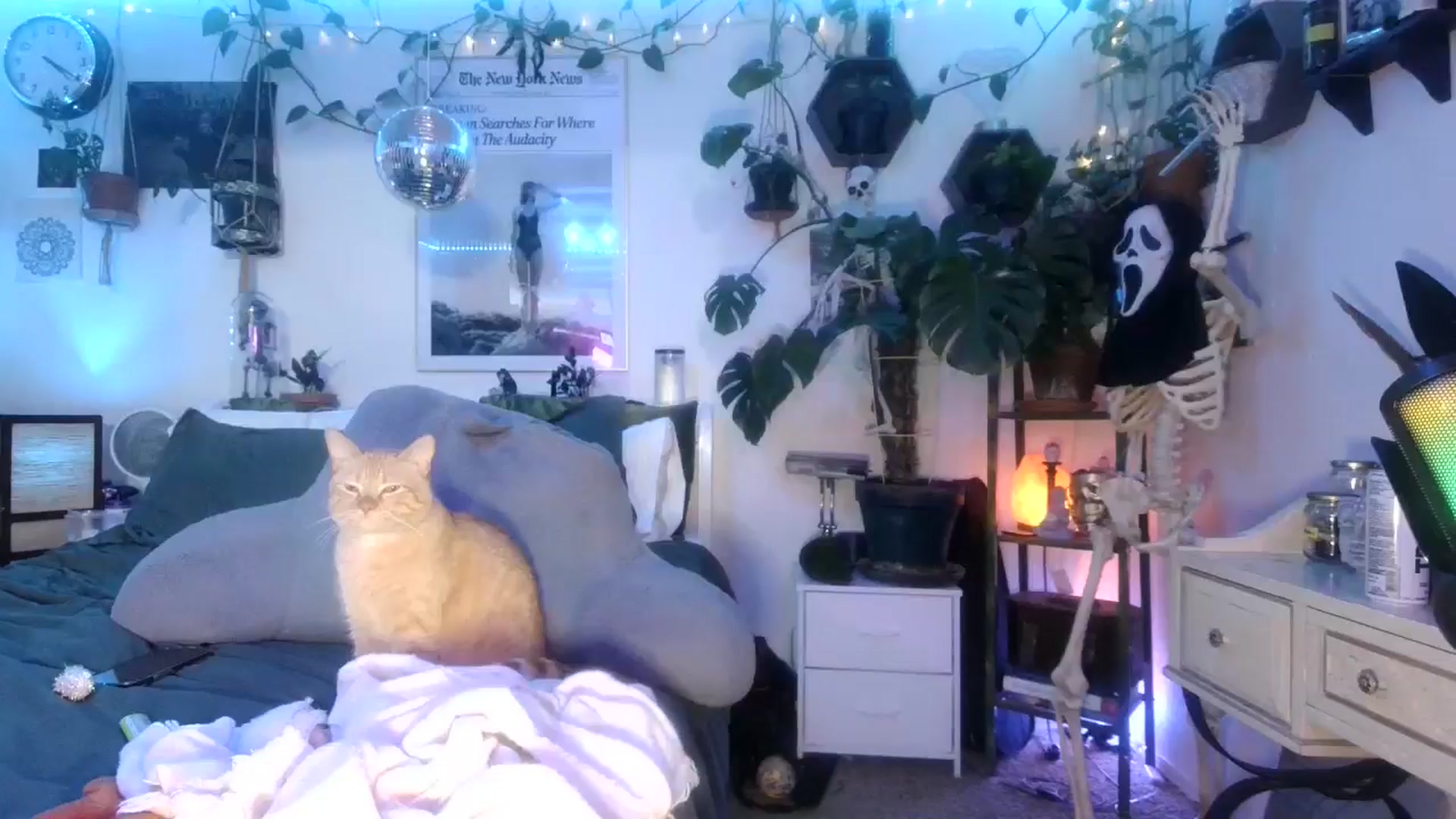 Gallery image thumbnail from BirthdayLexxx's myfreecams stream on, 09/11/2024, 11:07 image 3 of 20