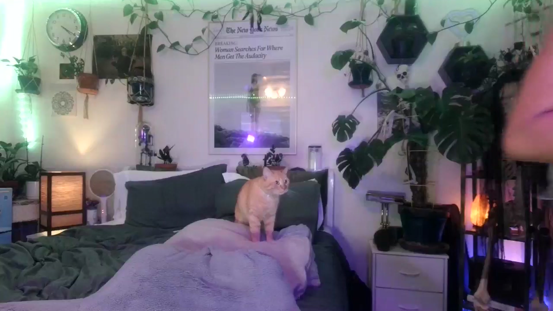 Gallery image thumbnail from BirthdayLexxx's myfreecams stream on, 09/12/2024, 06:07 image 17 of 20