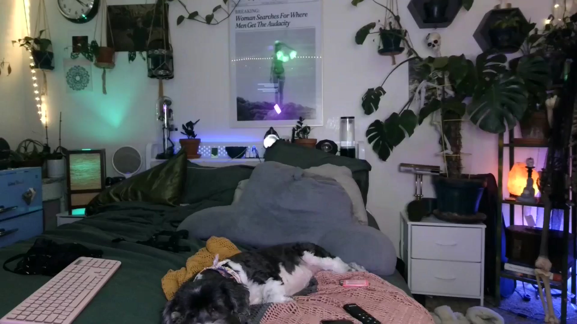 Gallery image thumbnail from BirthdayLexxx's myfreecams stream on, 09/19/2024, 10:49 image 14 of 20