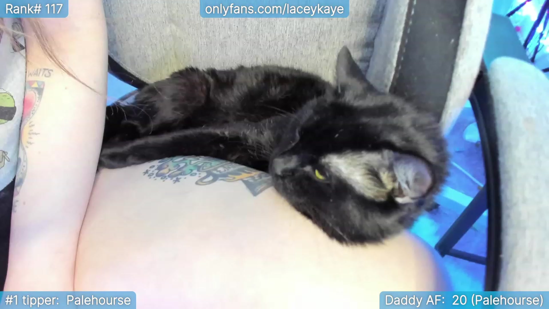 Gallery image thumbnail from BirthdayShark's myfreecams stream on, 09/08/2023, 05:45 image 2 of 20