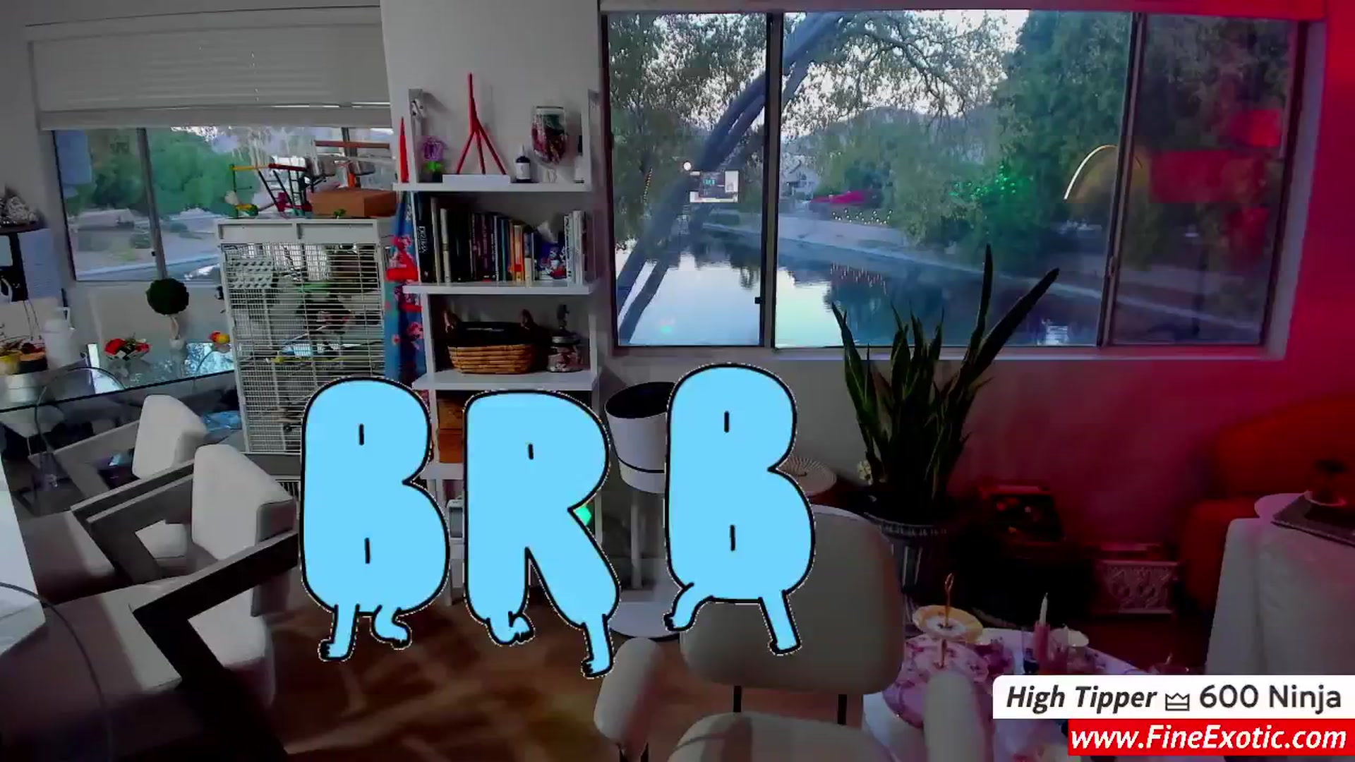 Gallery image thumbnail from BirthdayV's myfreecams stream on, 12/08/2024, 04:17 image 3 of 20