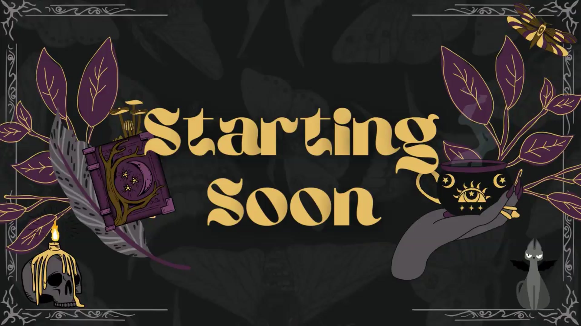 Gallery image thumbnail from BirthdayWolfie's myfreecams stream on, 08/14/2026, 18:46 image 1 of 20