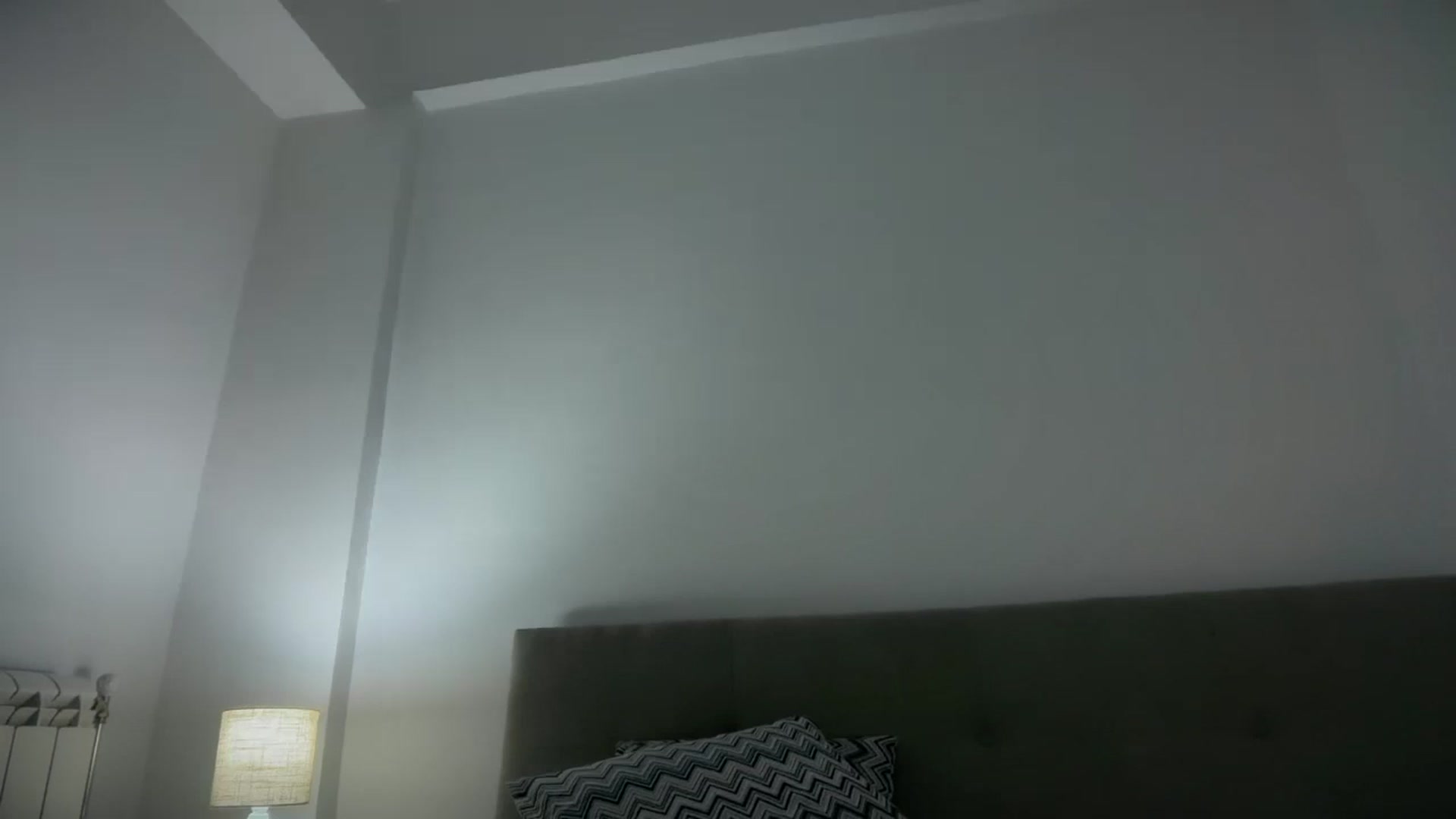 Gallery image thumbnail from Birthday_Sky's myfreecams stream on, 02/20/2025, 24:01 image 12 of 20