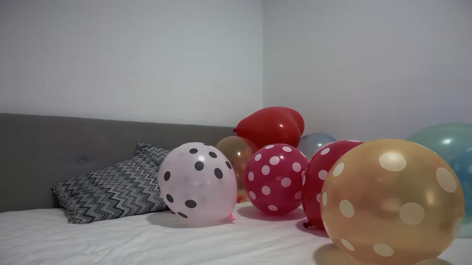 Gallery image thumbnail from Birthday_Sky's myfreecams stream on, 02/22/2025, 20:24 image 9 of 20
