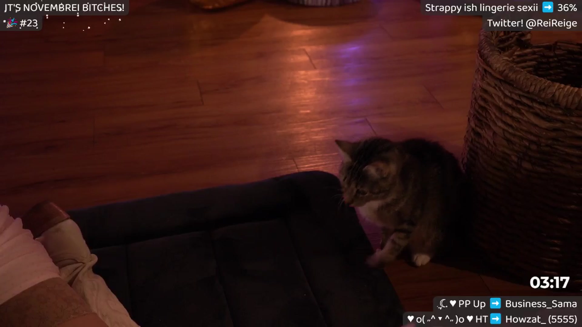 Gallery image thumbnail from Birthdayge's myfreecams stream on, 11/30/2024, 12:54 image 17 of 20