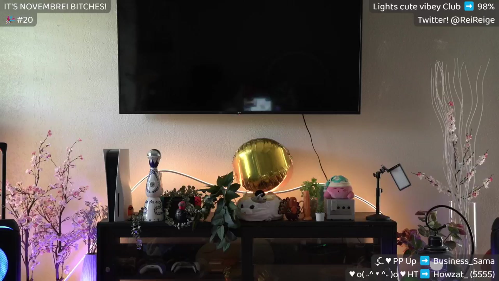 Gallery image thumbnail from Birthdayge's myfreecams stream on, 11/30/2024, 22:55 image 9 of 20