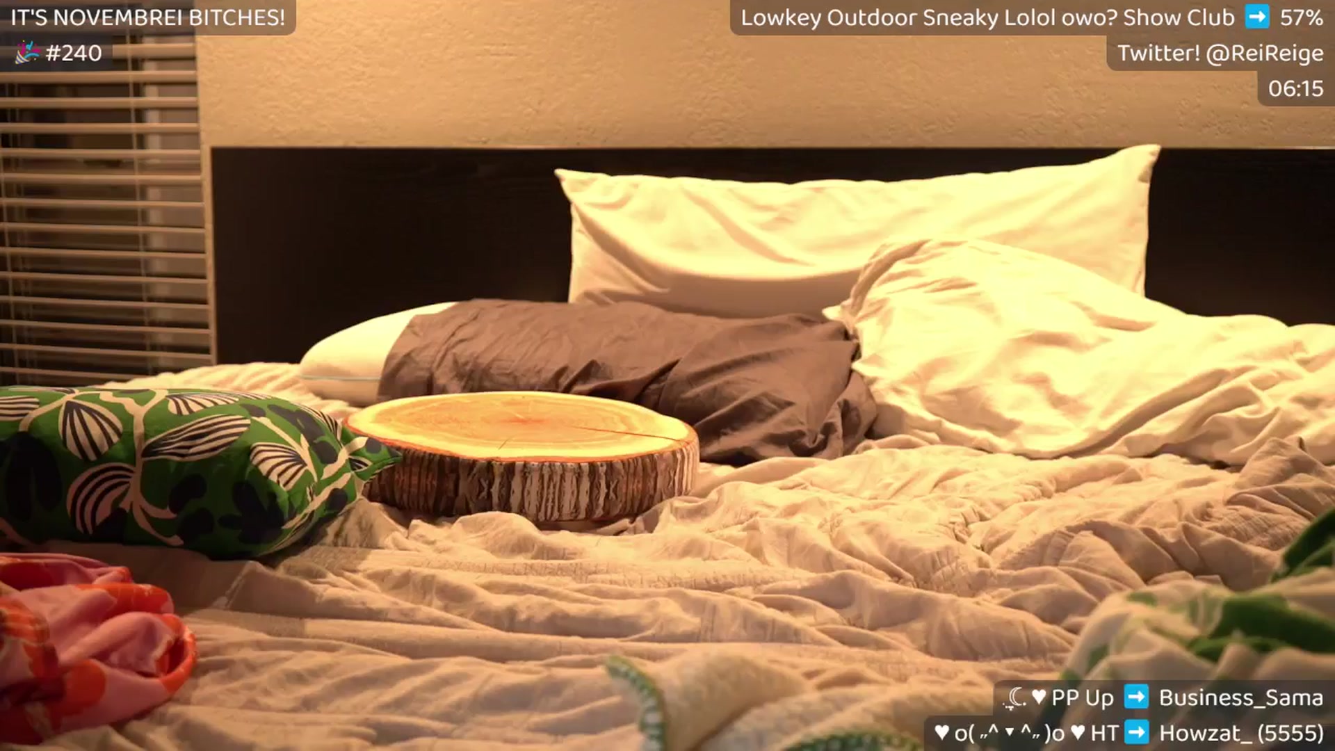 Gallery image thumbnail from Birthdayge's myfreecams stream on, 12/01/2024, 09:00 image 15 of 20
