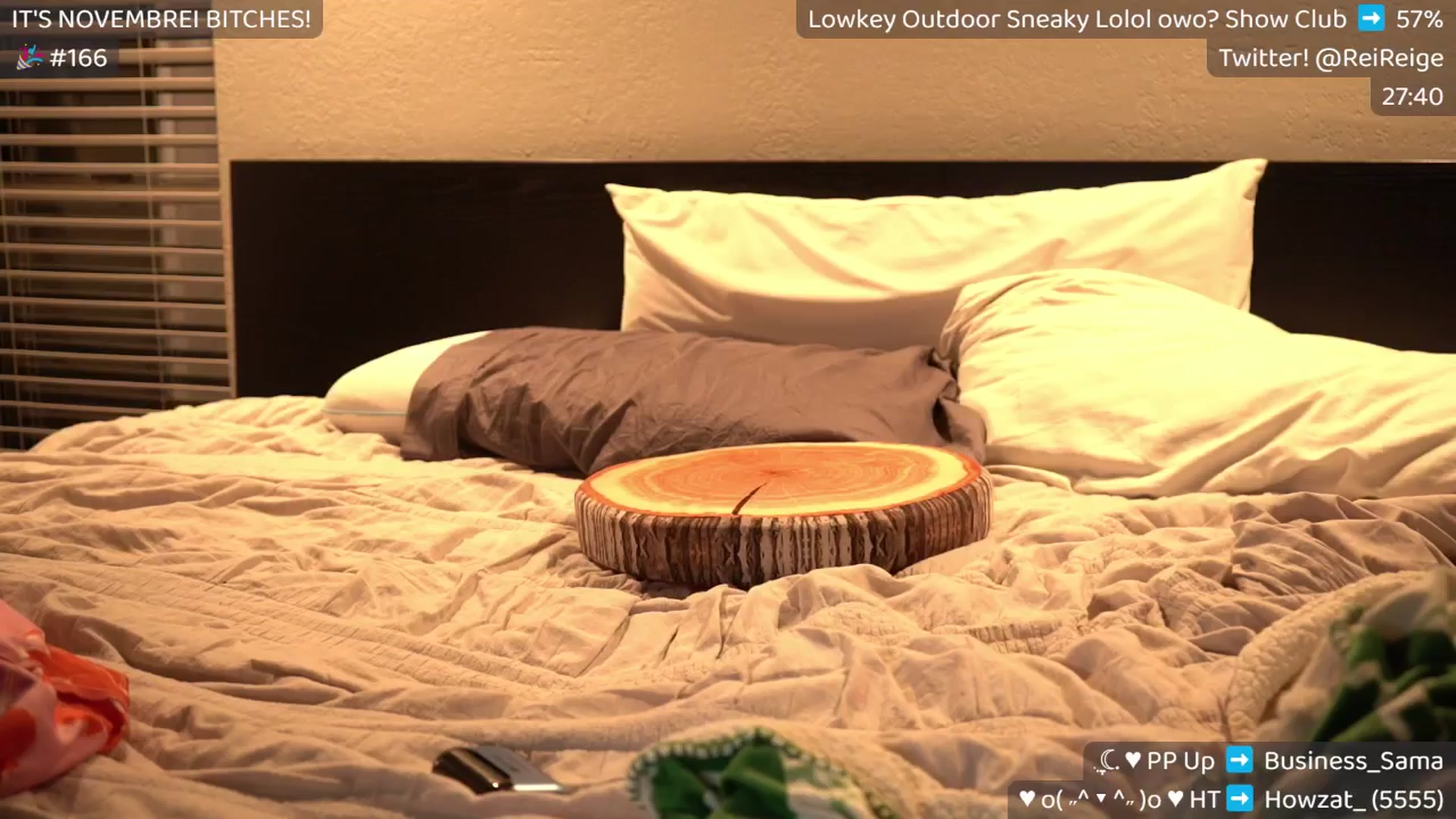 Gallery image thumbnail from Birthdayge's myfreecams stream on, 12/01/2024, 09:00 image 8 of 20