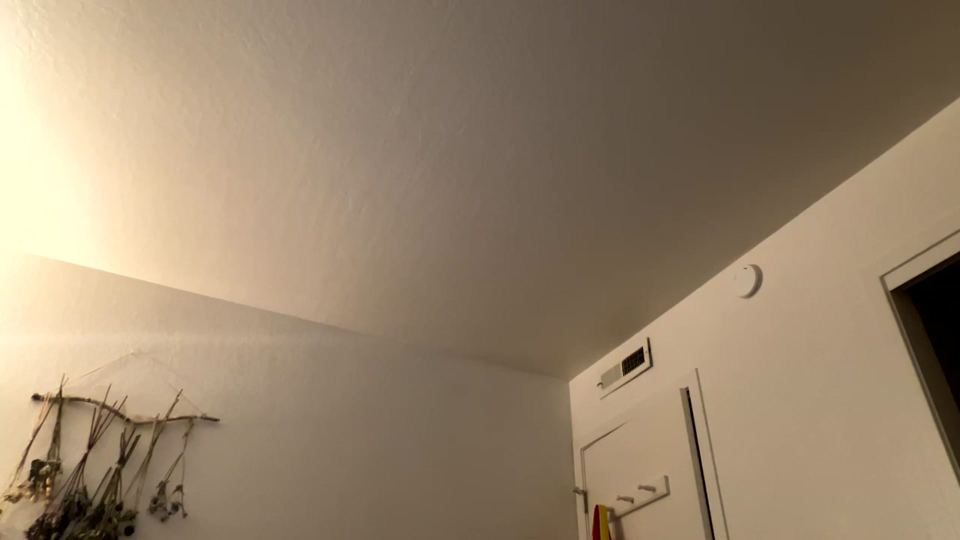 Gallery image thumbnail from BitchinBeth's myfreecams stream on, 03/14/2023, 07:33 image 18 of 20