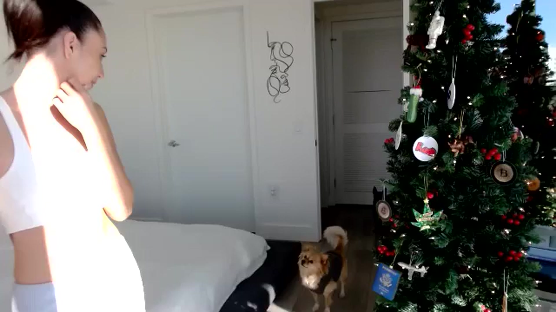Gallery image thumbnail from BitcoinB00M's myfreecams stream on, 11/21/2024, 22:46 image 17 of 20