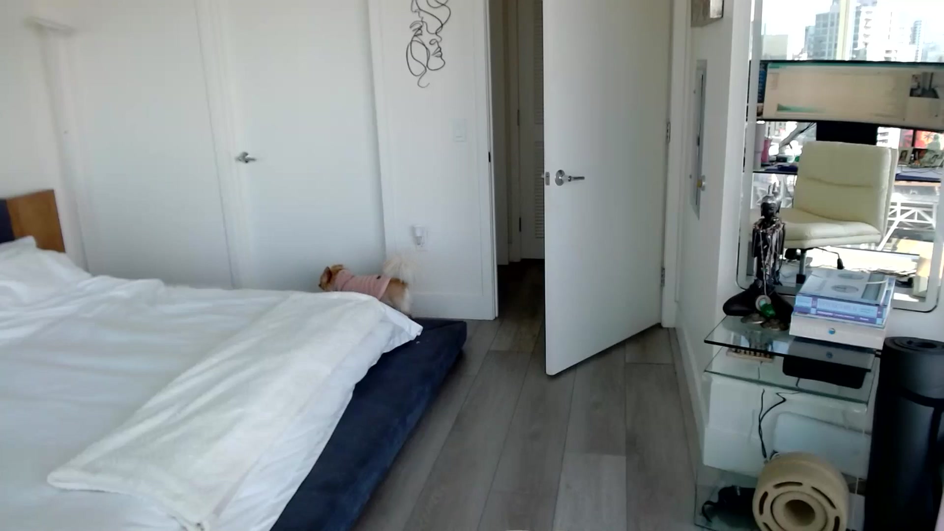 Gallery image thumbnail from BitcoinB00M's myfreecams stream on, 01/11/2025, 22:07 image 16 of 20