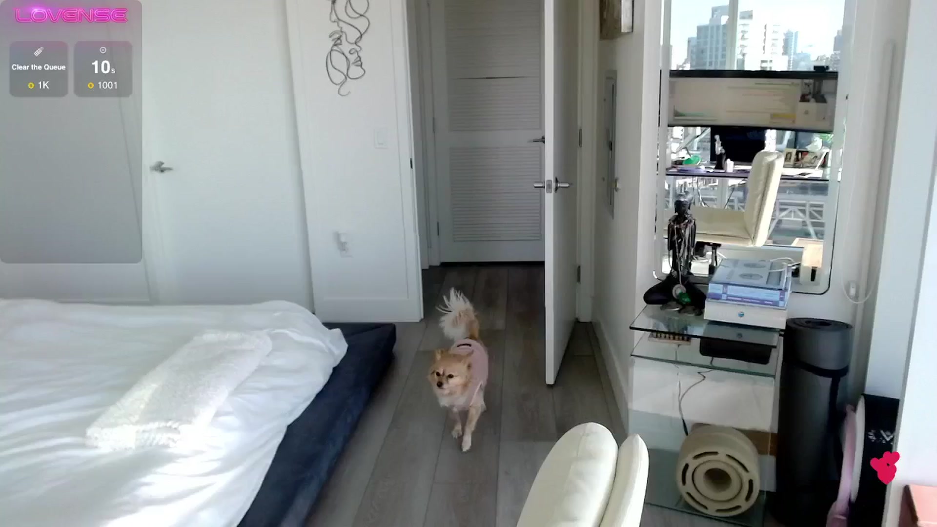 Gallery image thumbnail from BitcoinB00M's myfreecams stream on, 01/18/2025, 22:25 image 13 of 20
