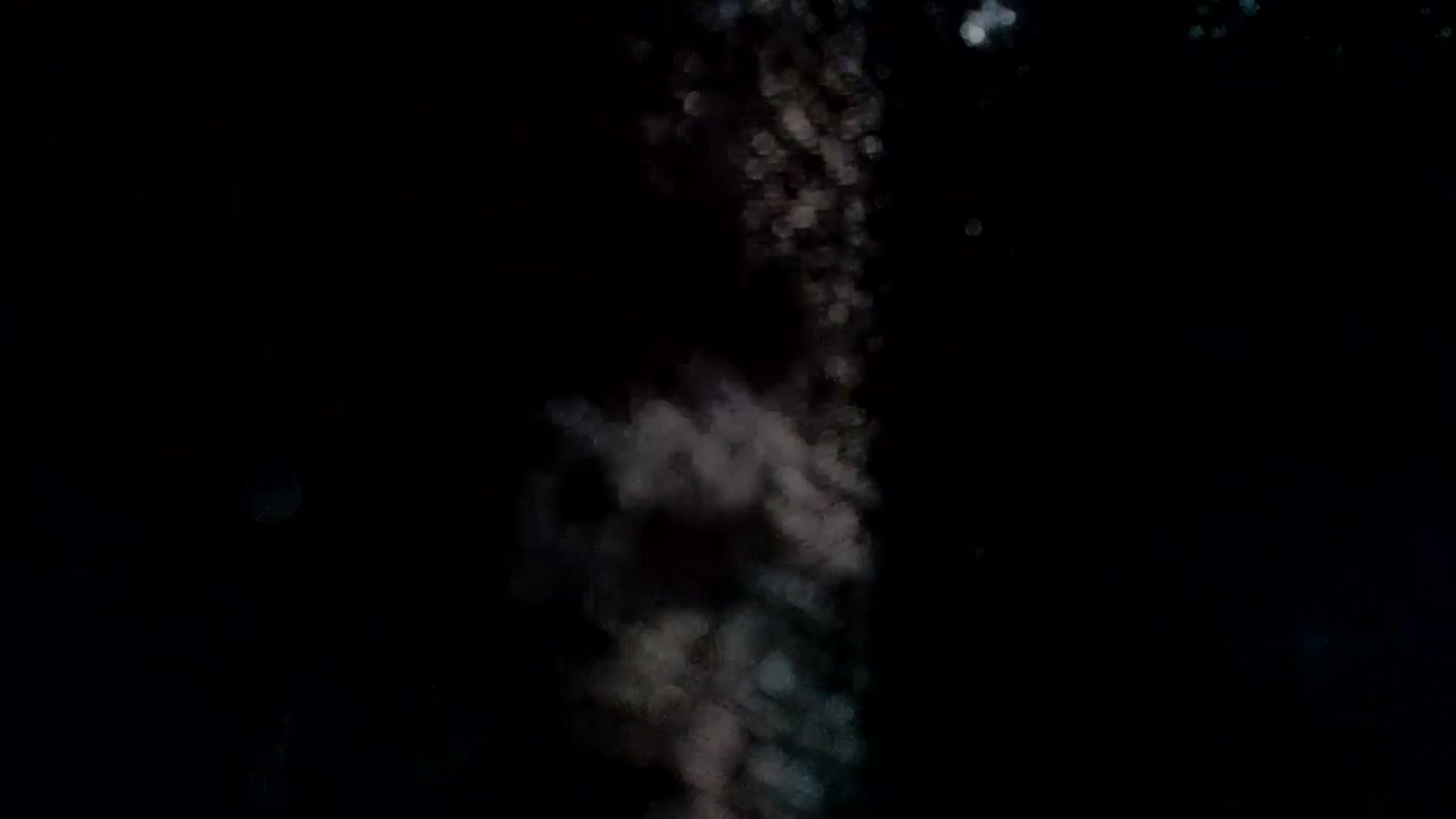Gallery image thumbnail from BitcoinB00M's myfreecams stream on, 01/29/2025, 20:37 image 14 of 20