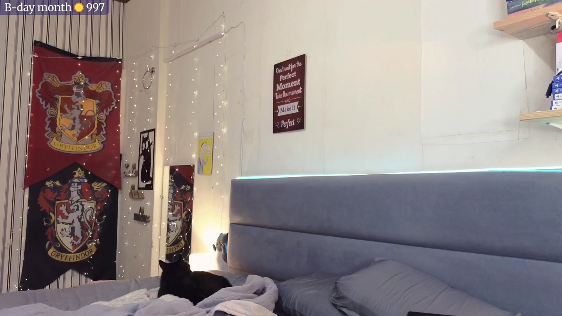 Gallery image thumbnail from BiteTheSweet's myfreecams stream on, 05/11/2025, 12:50 image 13 of 20