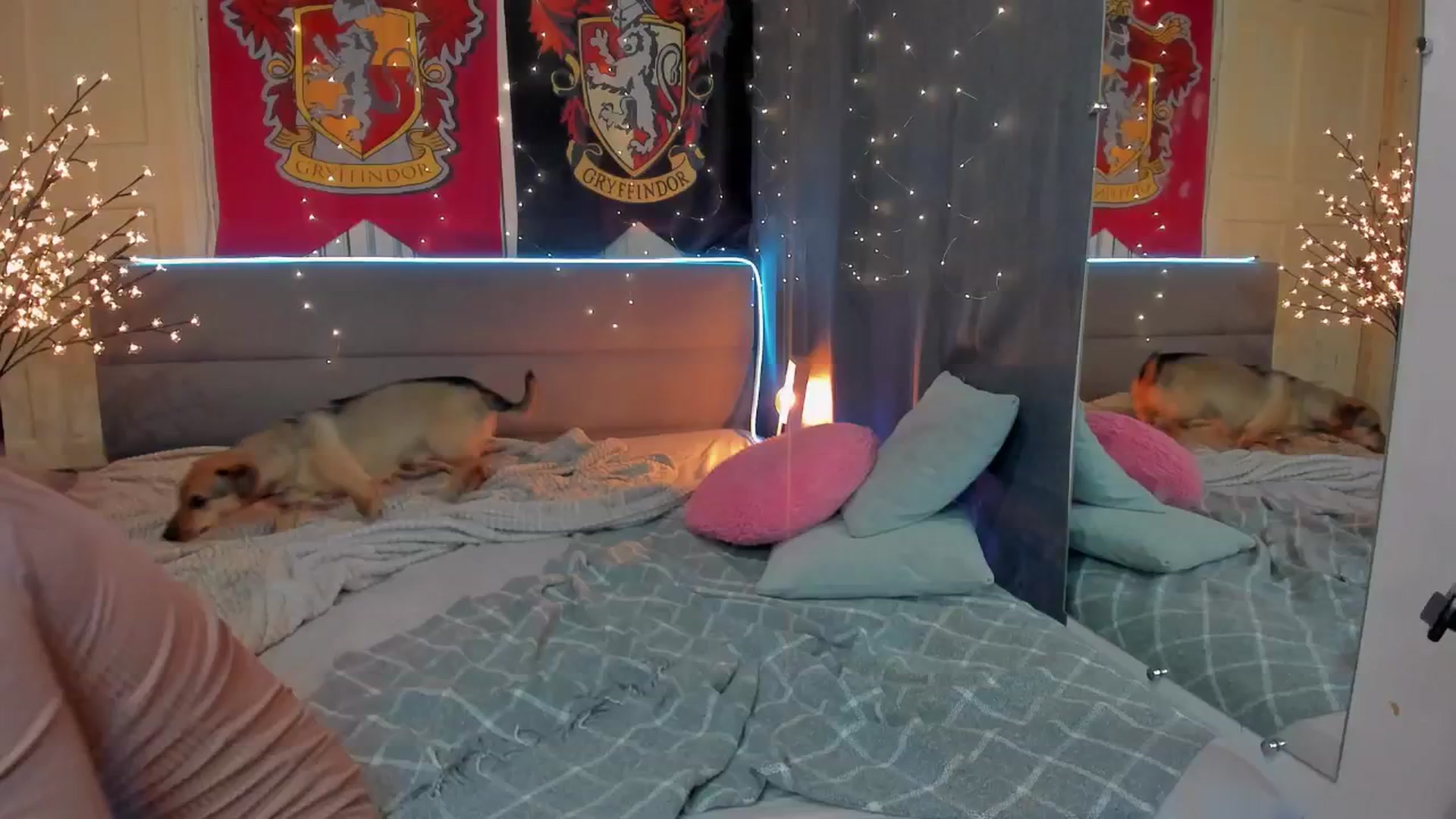 Gallery image thumbnail from BiteTheSweet's myfreecams stream on, 02/02/2026, 18:23 image 12 of 20