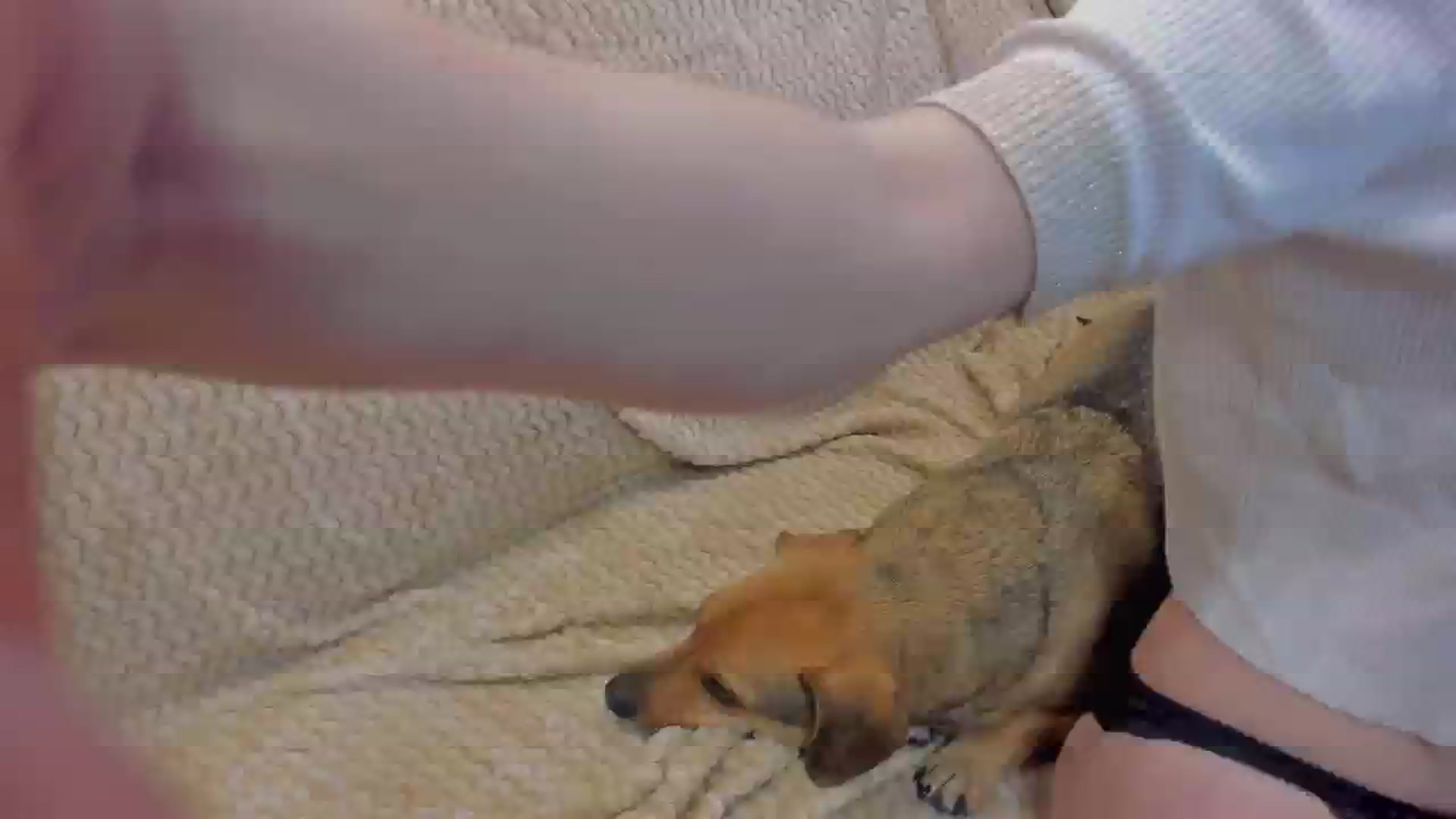 Gallery image thumbnail from BiteTheSweet's myfreecams stream on, 04/07/2026, 20:56 image 12 of 20