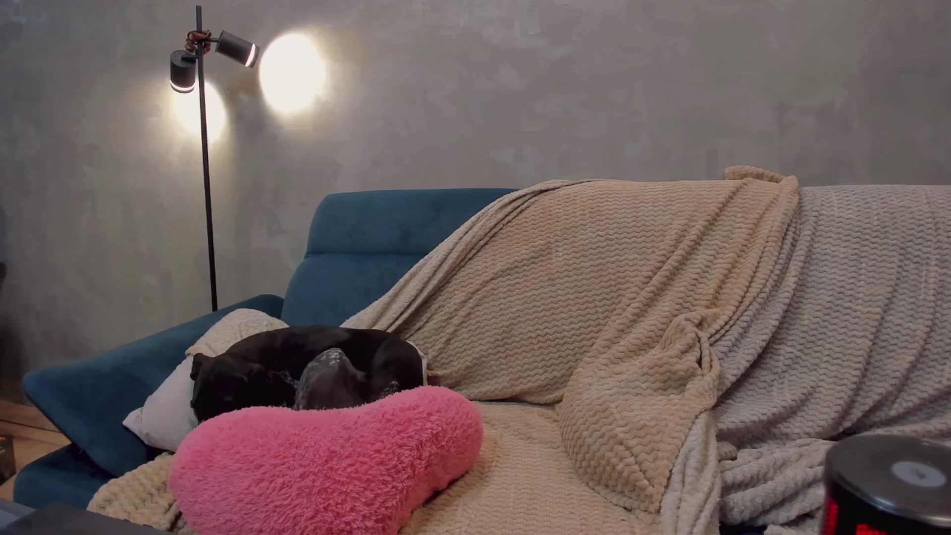 Gallery image thumbnail from BiteTheSweet's myfreecams stream on, 04/30/2026, 19:57 image 4 of 20