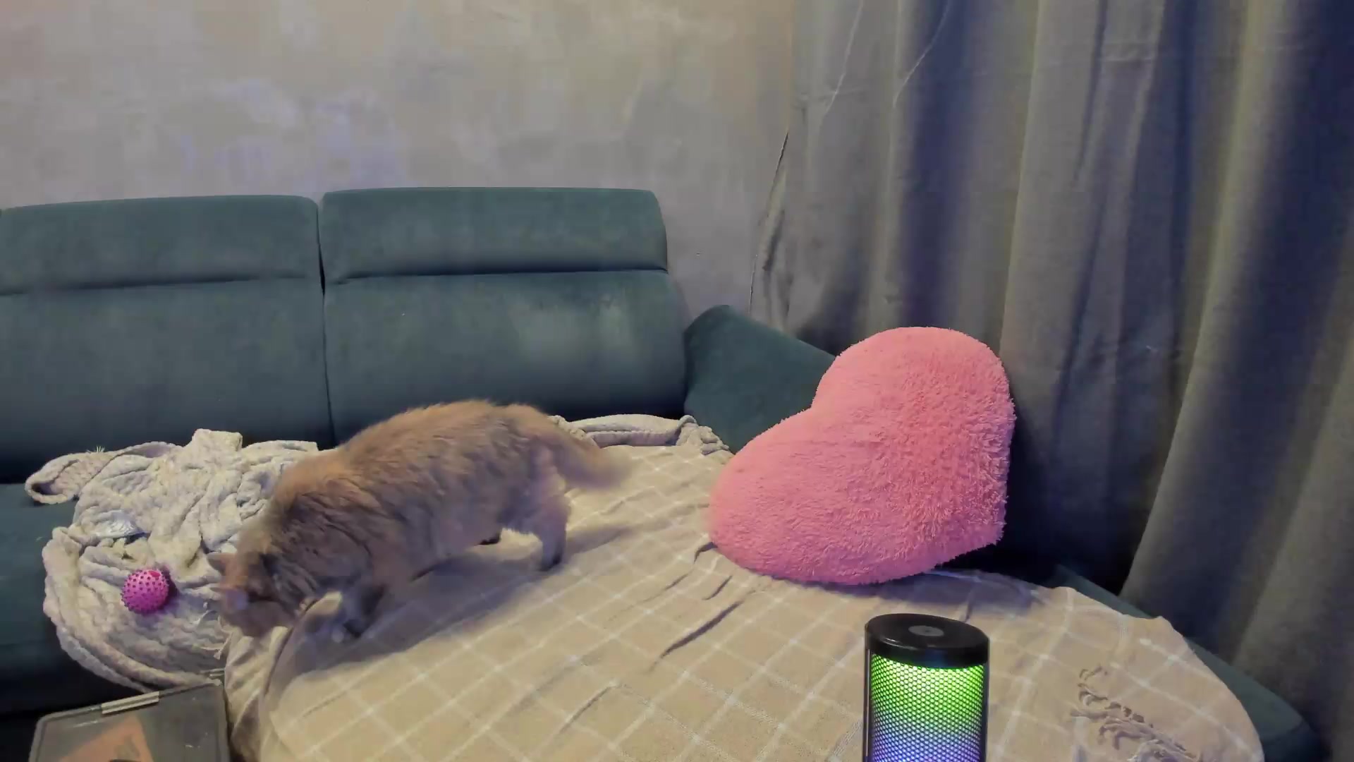 Gallery image thumbnail from BiteTheSweet's myfreecams stream on, 05/17/2026, 21:01 image 15 of 20