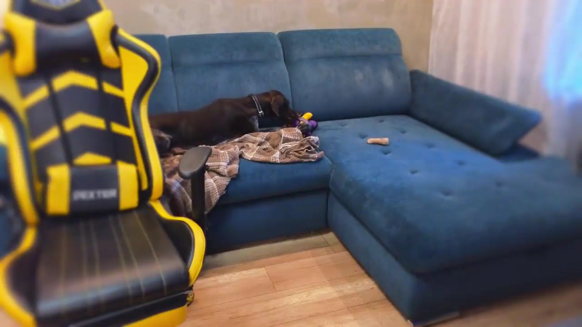 Gallery image thumbnail from BiteTheSweet's myfreecams stream on, 06/21/2026, 17:09 image 17 of 20