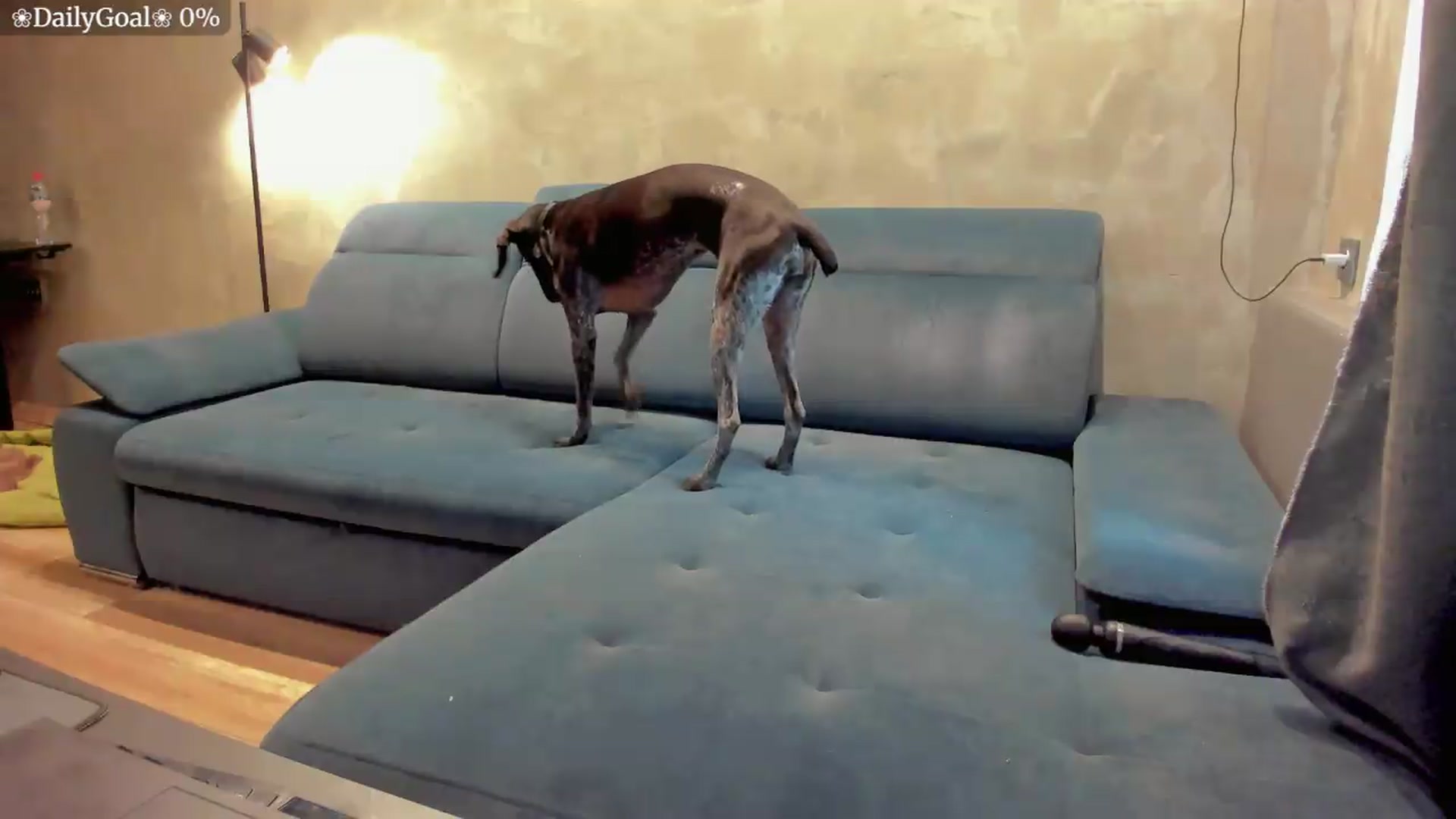 Gallery image thumbnail from BiteTheSweet's myfreecams stream on, 07/07/2026, 04:32 image 13 of 20