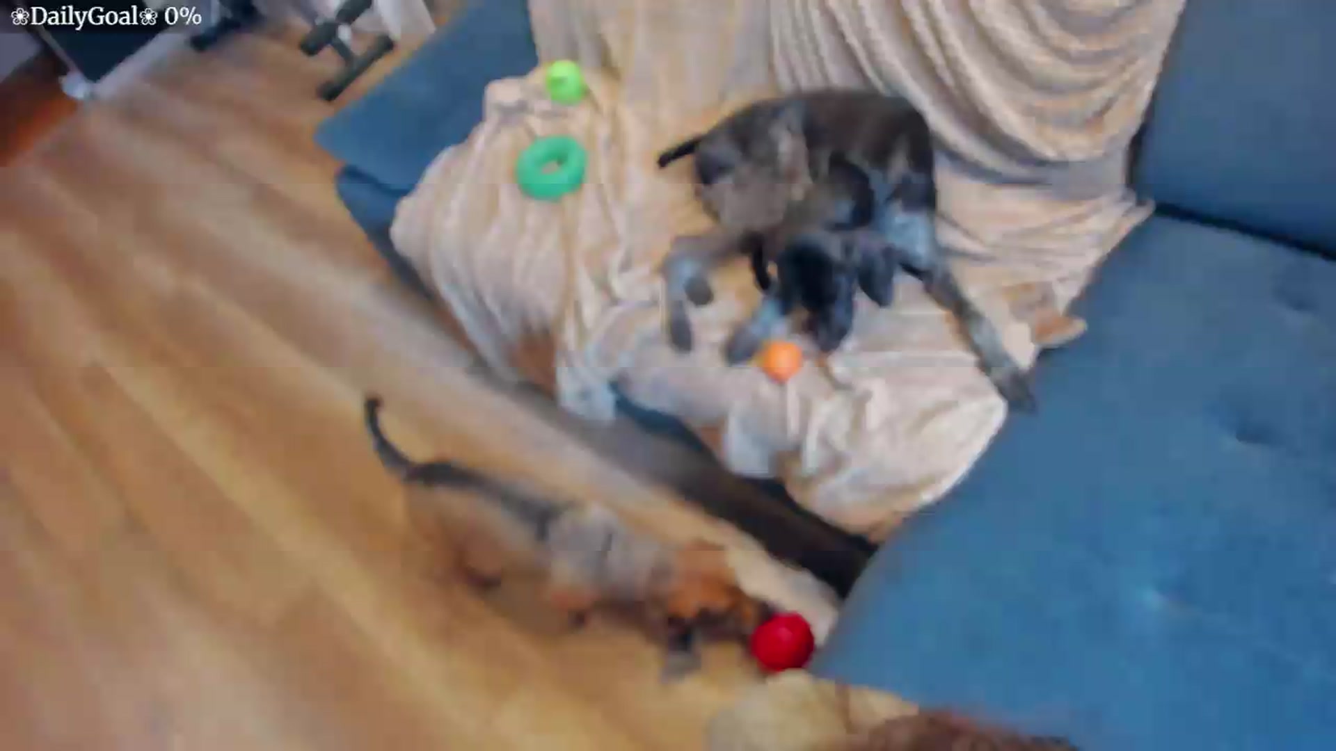 Gallery image thumbnail from BiteTheSweet's myfreecams stream on, 07/27/2026, 14:33 image 6 of 20