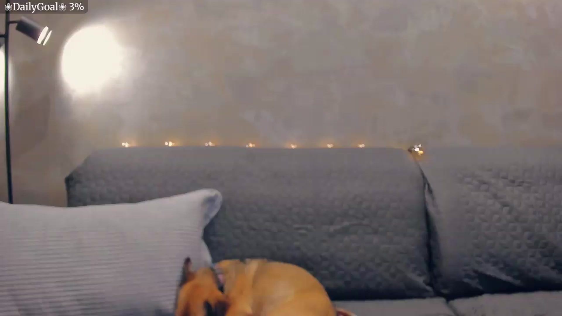 Gallery image thumbnail from BiteTheSweet's myfreecams stream on, 07/31/2026, 19:09 image 5 of 20